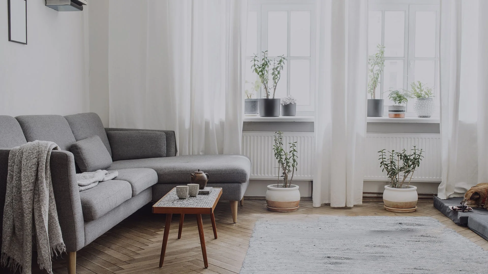 How Rental Property Management is Changing Because of COVID-19