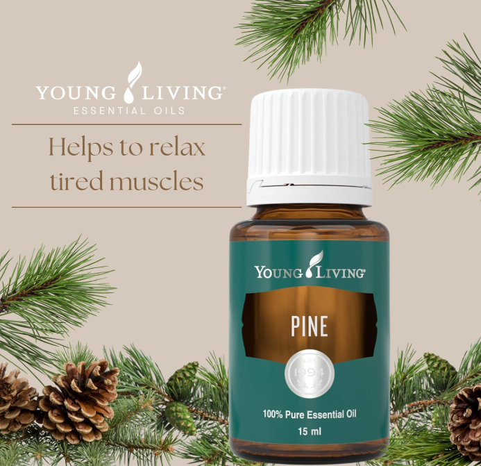Pine Essential Oil 