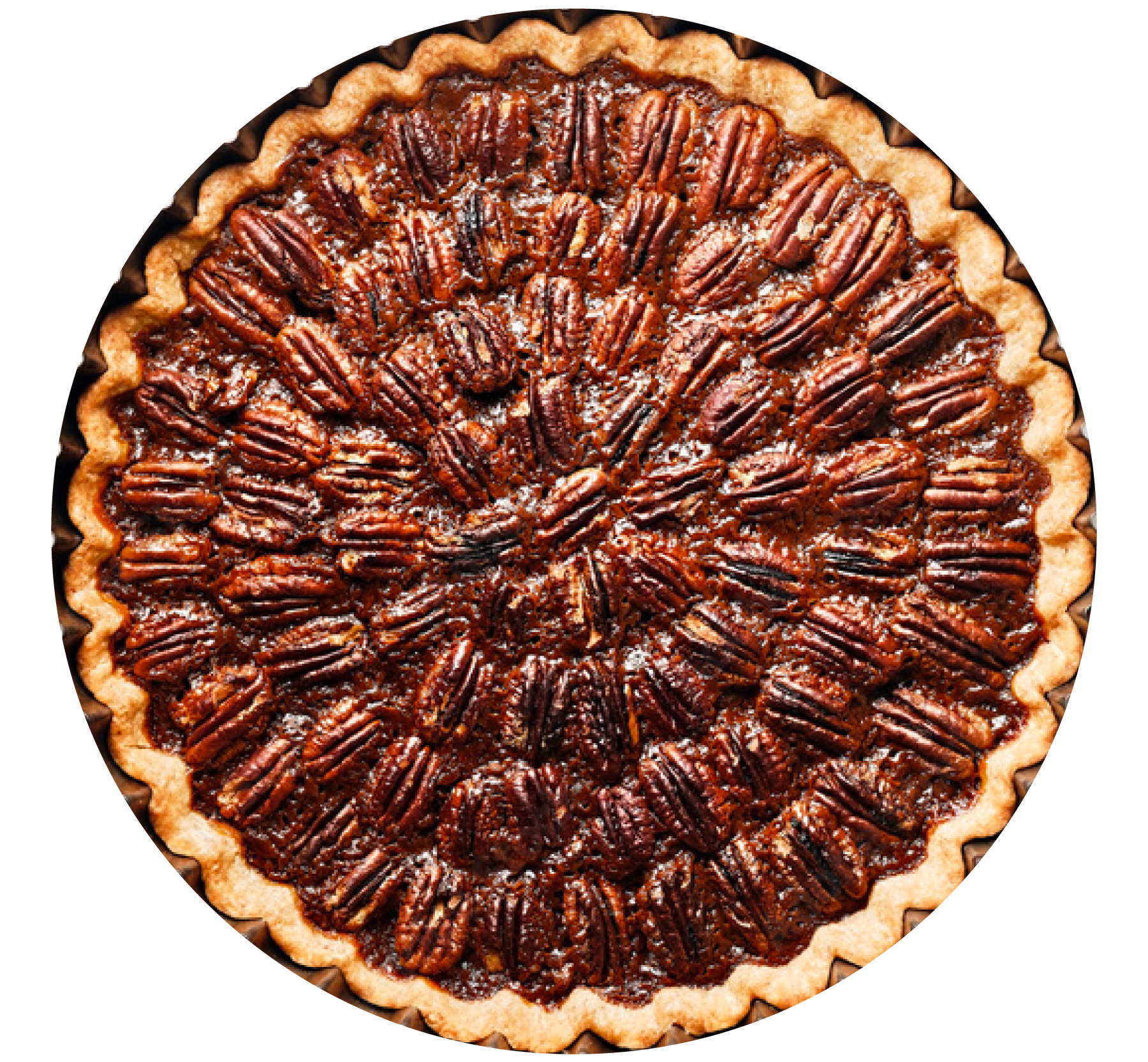 Southern Treasure Pecan