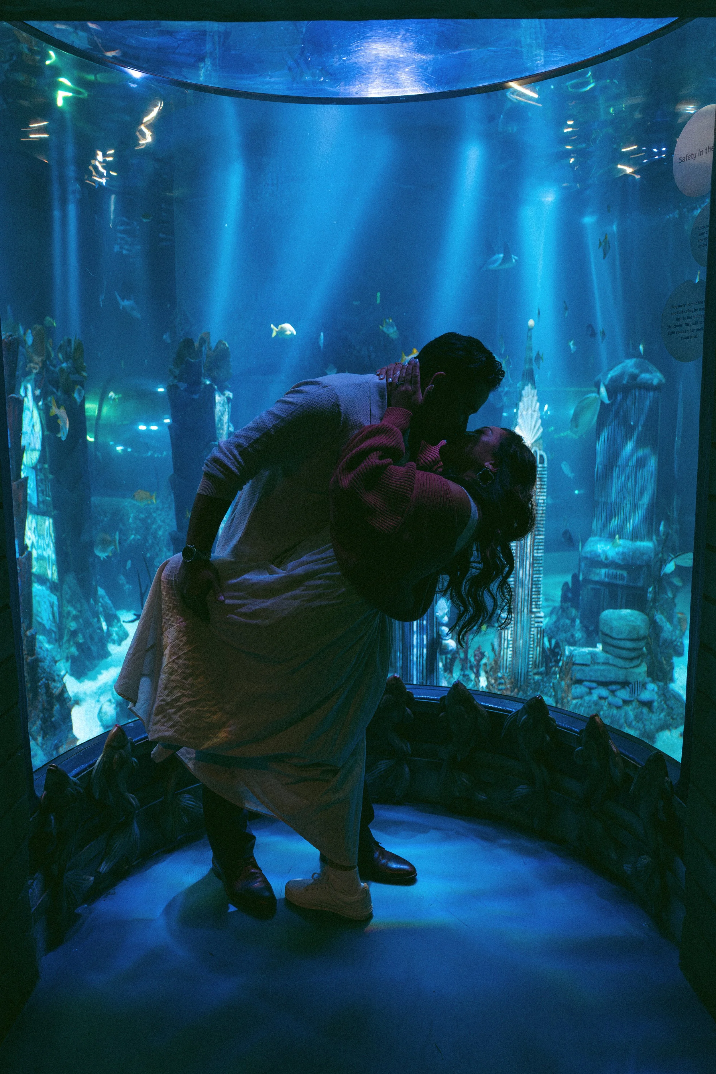 A couple sharing a kiss in front of an aquarium at an indoor attraction.
