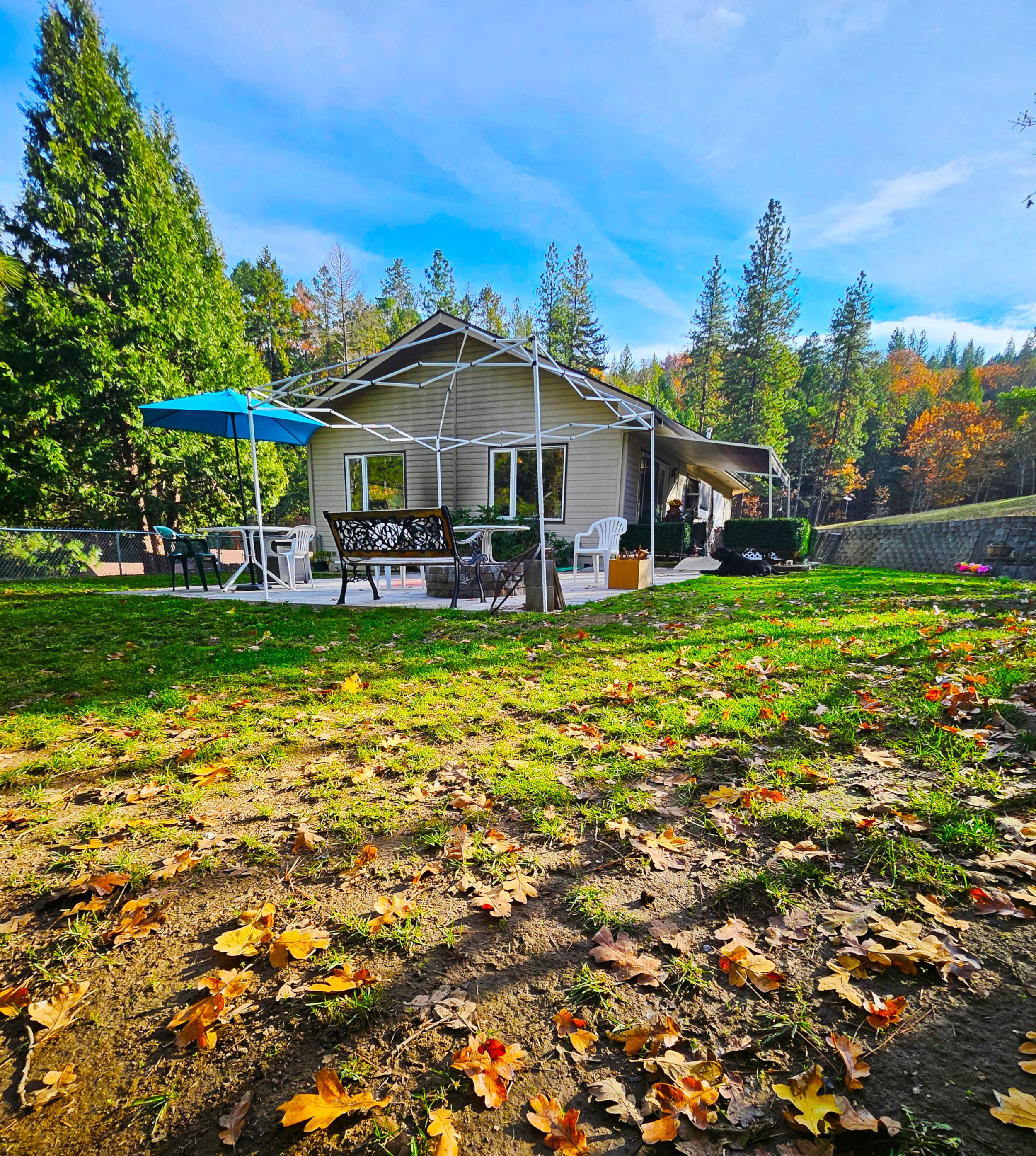 A house with a large backyard patio under construction, surrounded by trees with autumn foliage, and fallen leaves scattered on the ground.