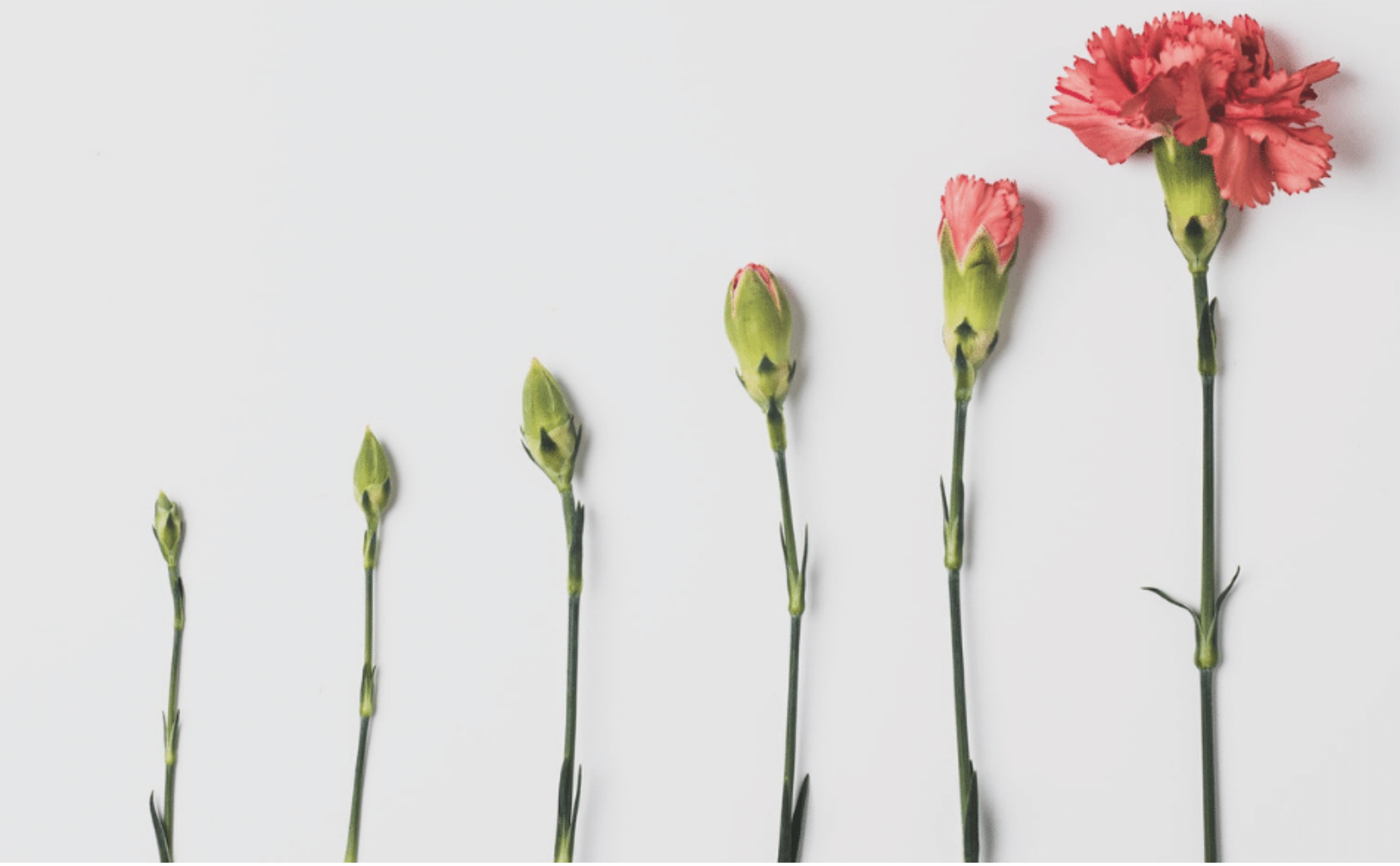 Have You Ever Felt Yourself Changing… Quietly?