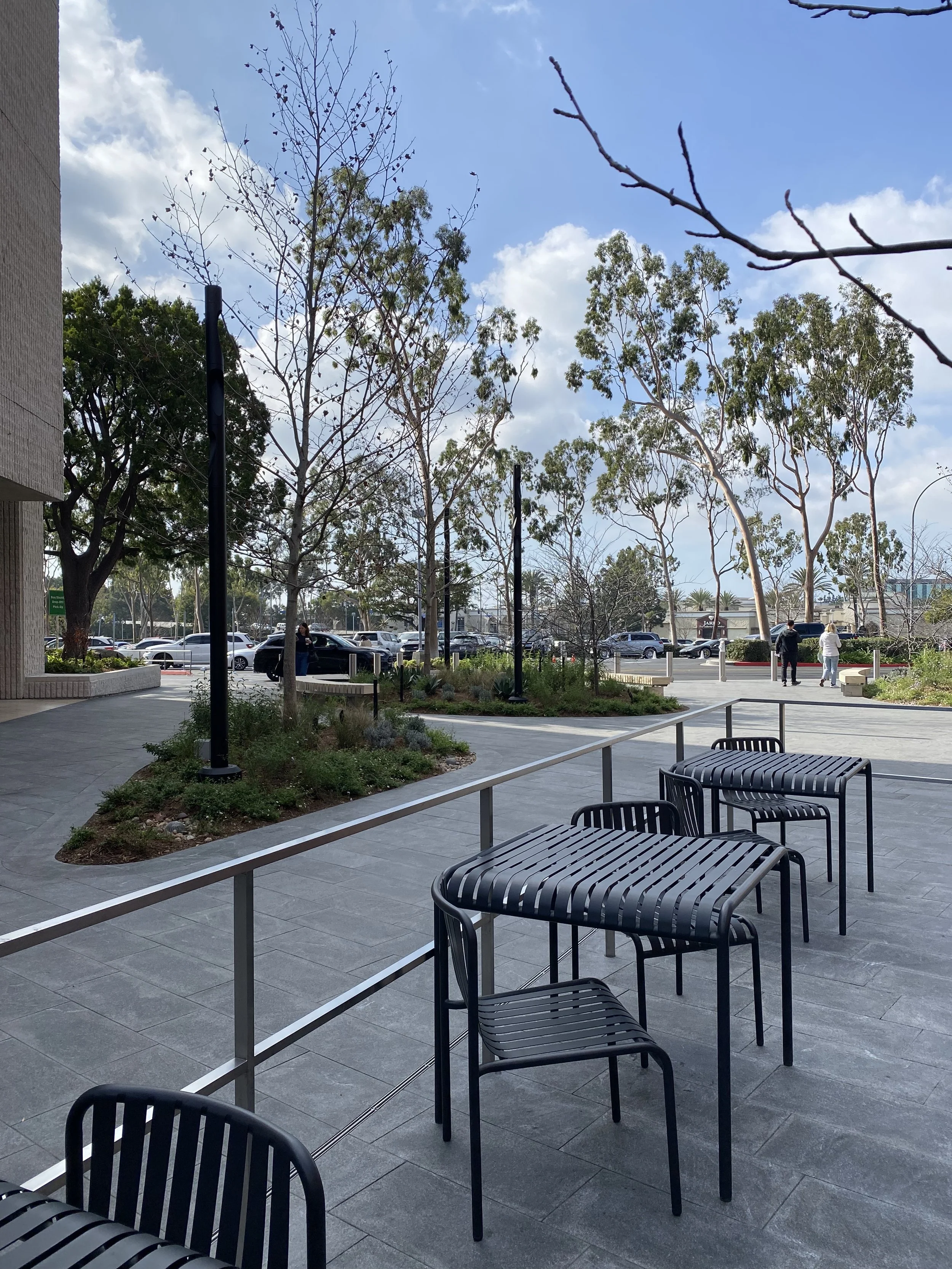 2025-01-04 11.49.18.jpg