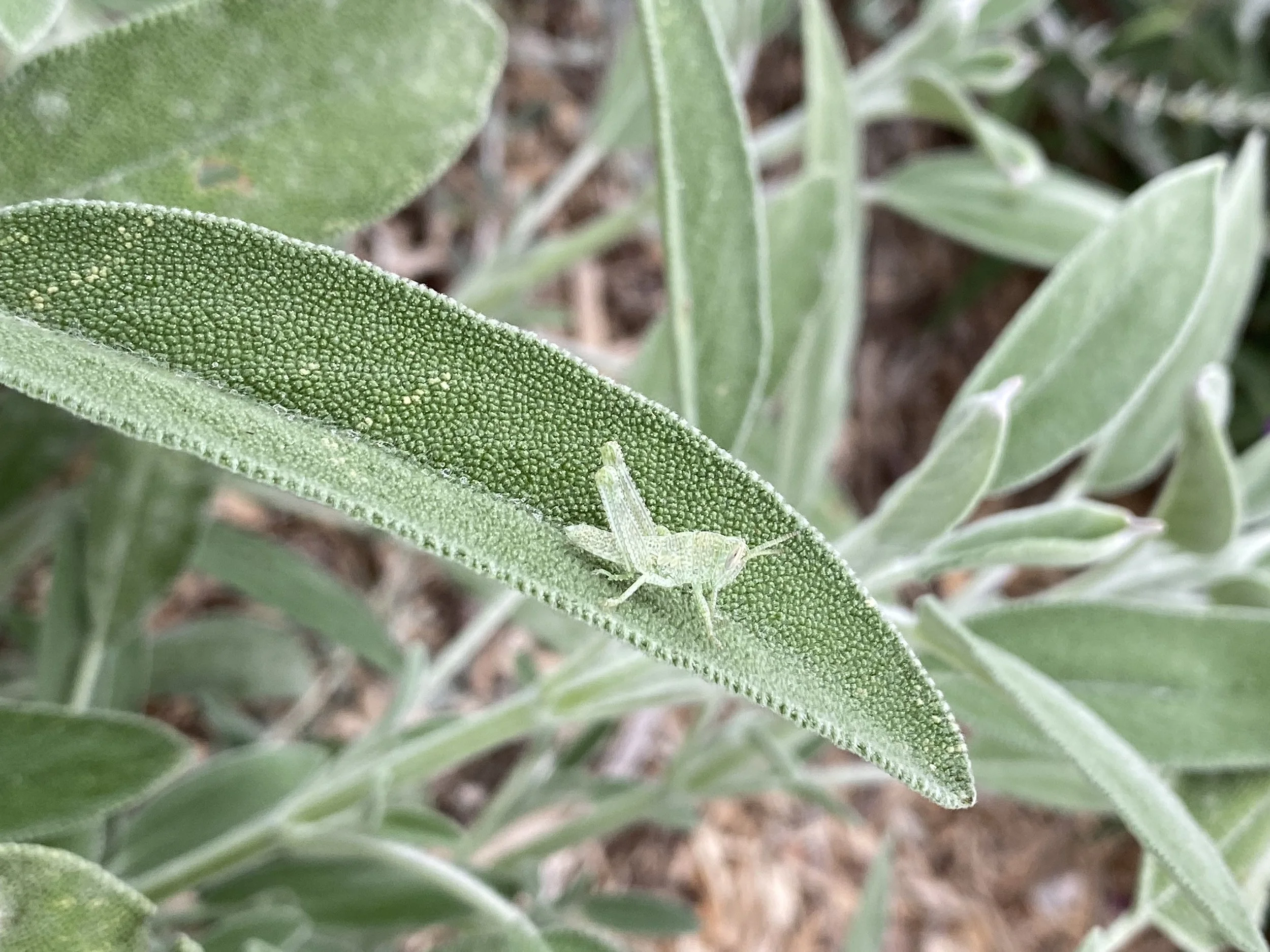 2025-09-26 09.48.25.jpg