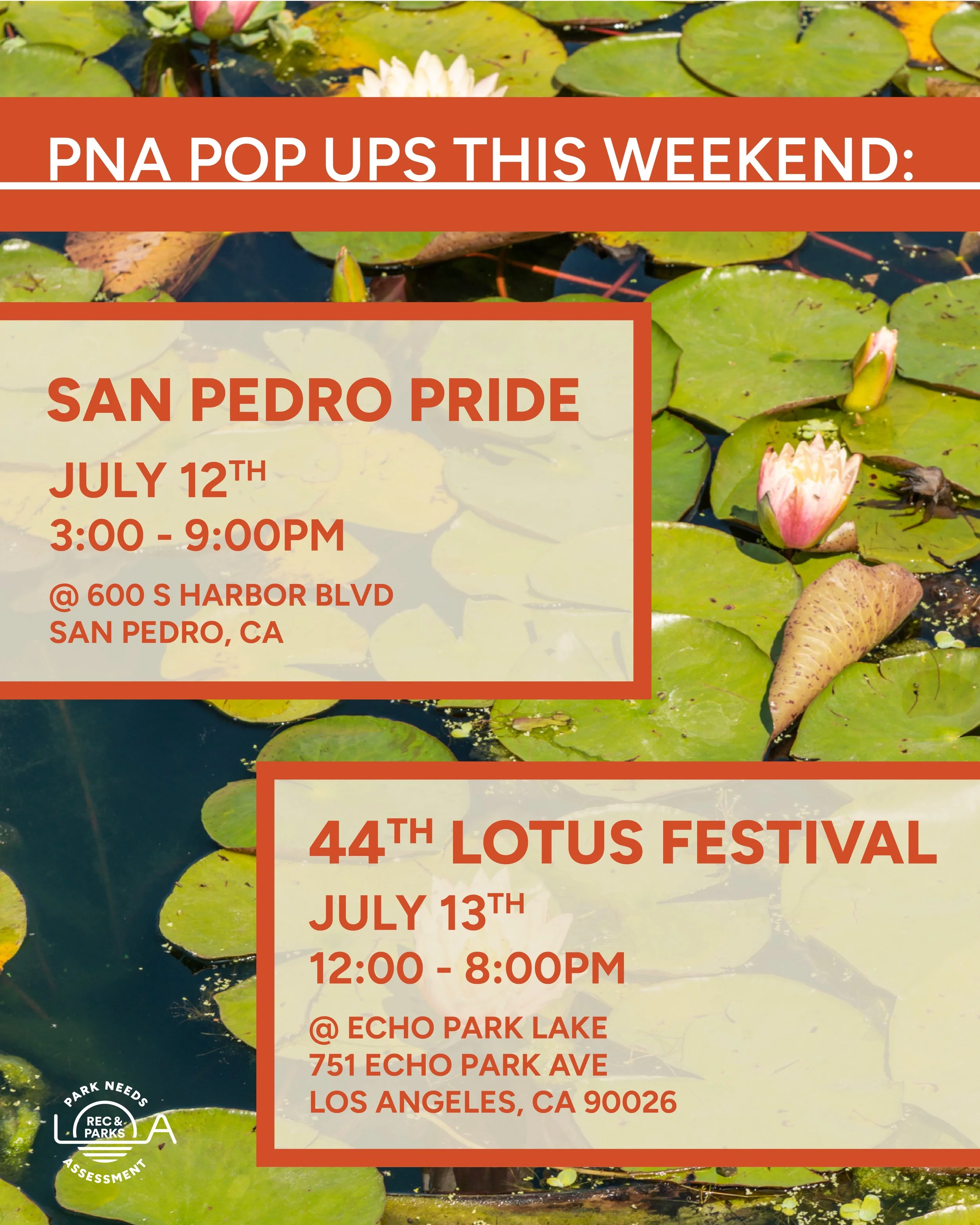 250711-Popups Weekend.jpg