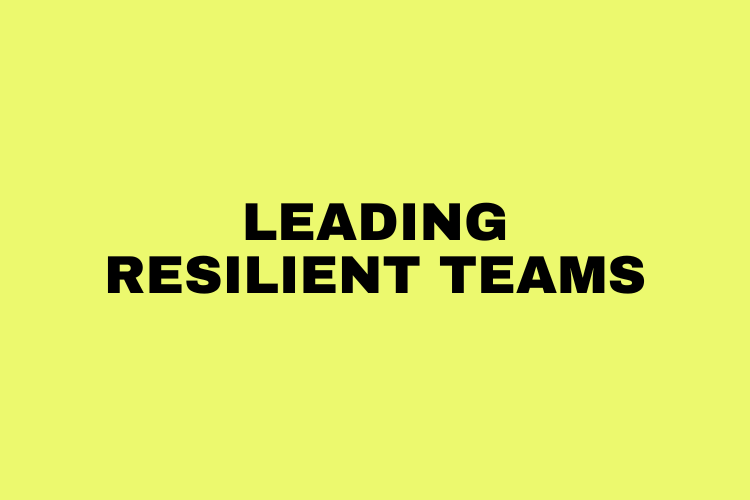 Strategically available Resources e-Book on Leading Resilient Teams