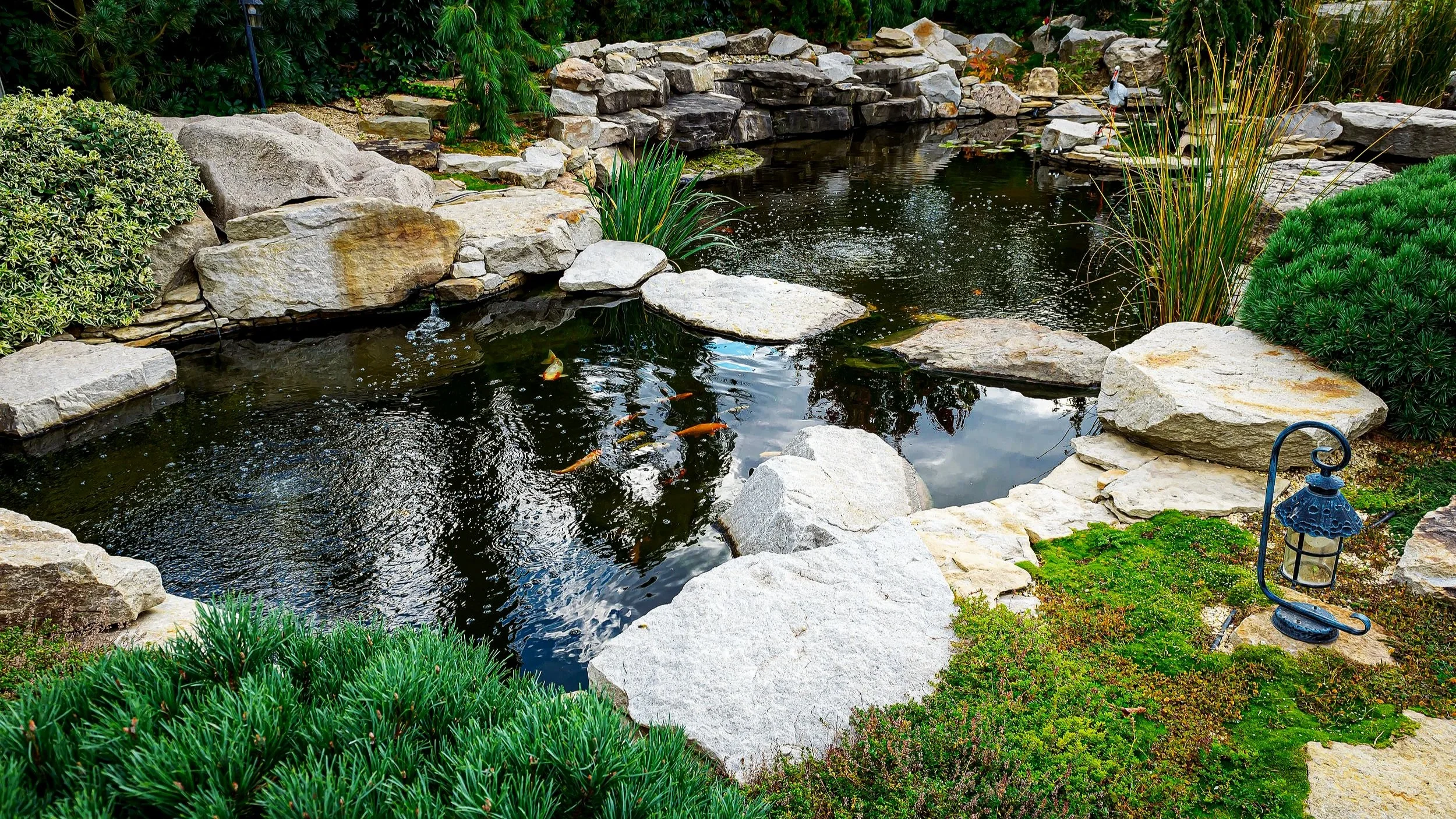 Custom koi pond with natural stone and aquatic landscaping, designed by Cascades Dallas for balance, reflection, and tranquility.