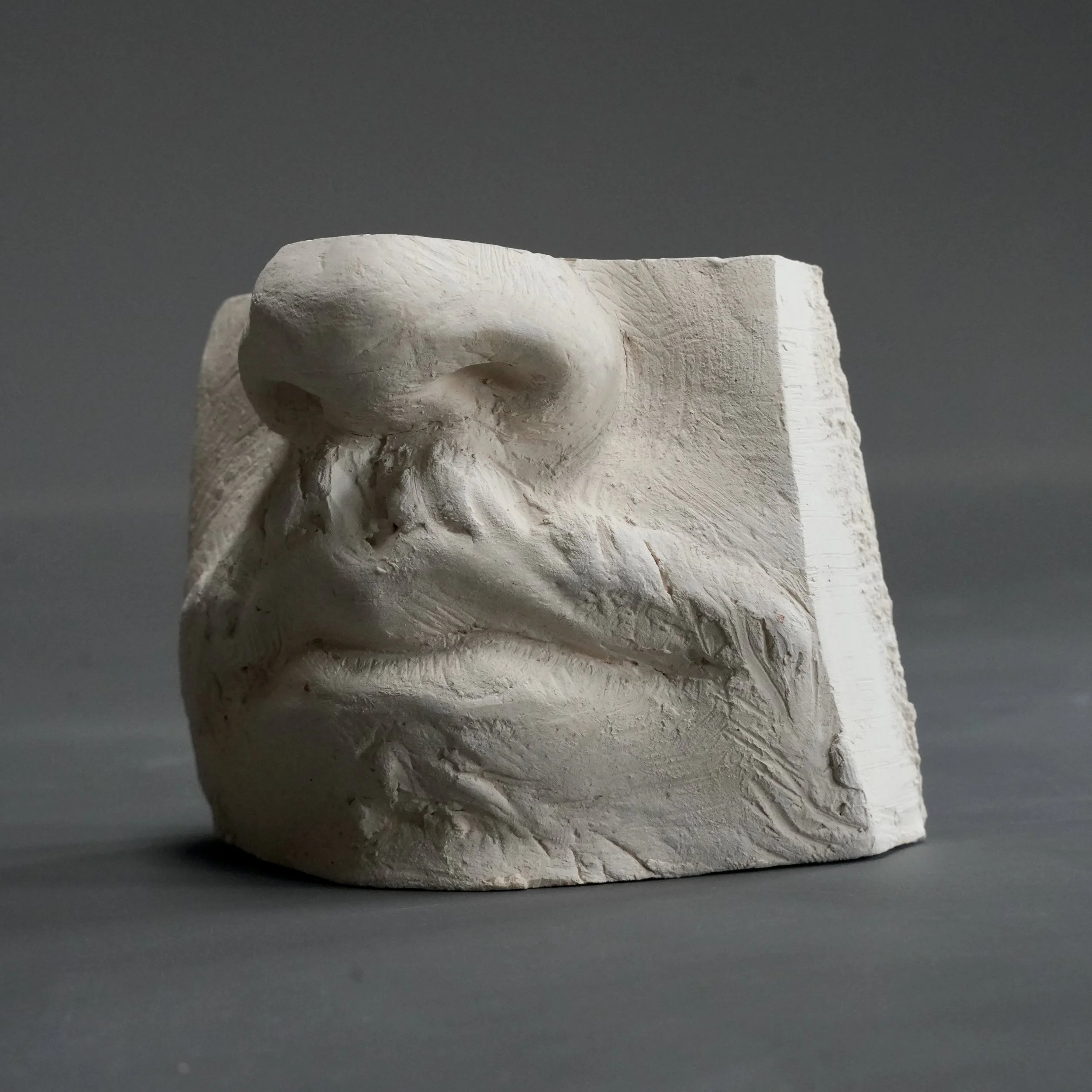 Mouth and Nose Fragment