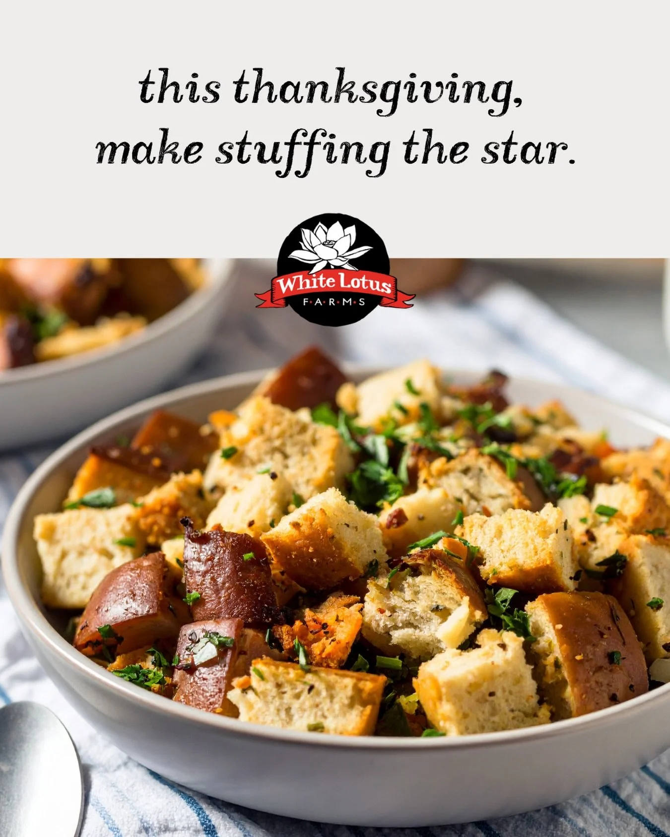 This Thanksgiving, make stuffing the star. 🌟 

If you care about flavor, real ingredients, and cooking food that tastes amazing, start with better bread. Our loaves are made the way good bread should be: European-style levains, naturally leavened wi