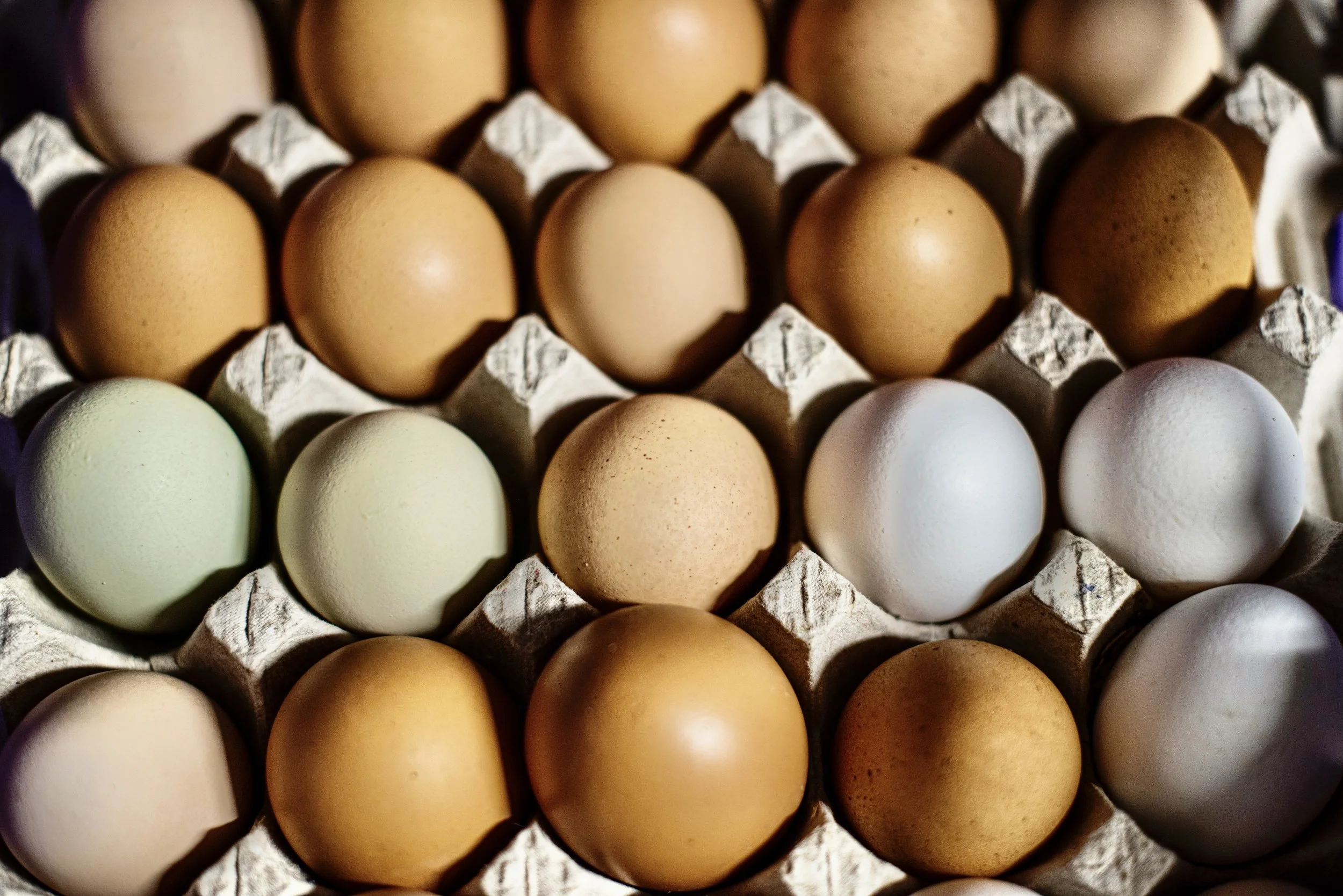 Amazing eggs from happy chickens who live outdoors not in cages. White Lotus Farms Café and farm cart.