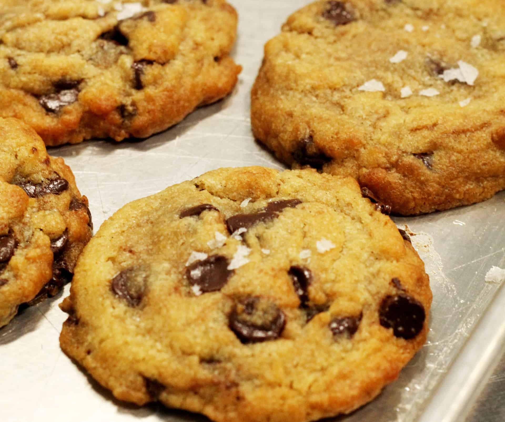 Sometimes you just need a cookie. Come on over and get one! White Lotus Farms Café.