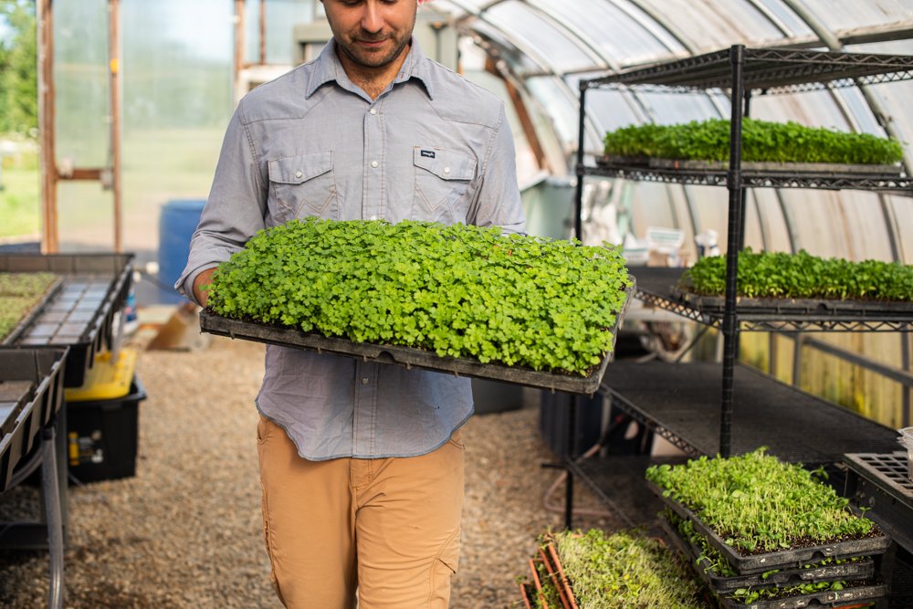 We grow the micro greens for your White Lotus Farms Café salads and sandwiches just two miles down the road at our farm. That's Local Fresh and true Farm-to-Table.