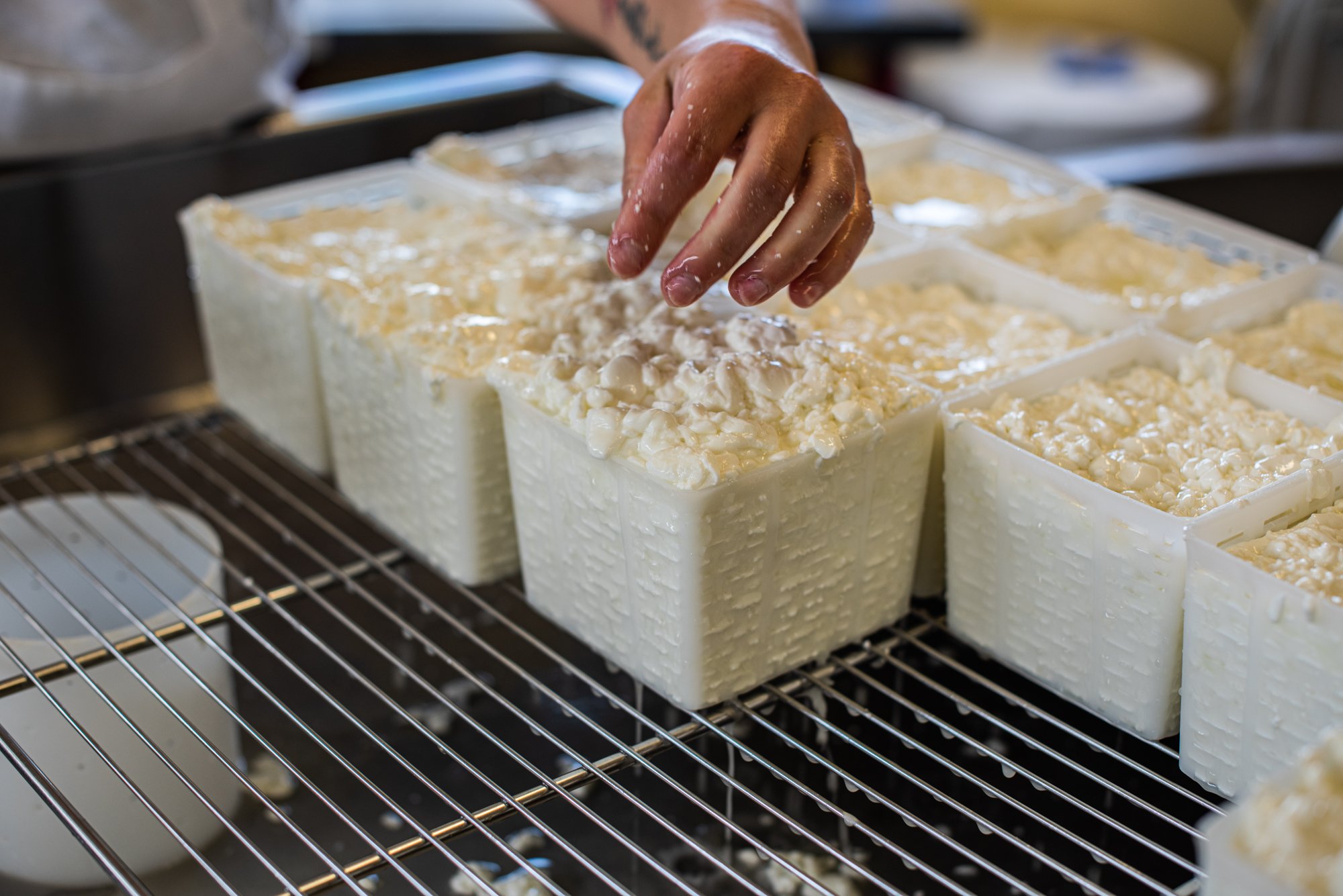 That Feta on your White Lotus Farms Café salad - yes, it travelled two whole miles from the farm where it was made to your mouth. That's Local Fresh and true Farm-to-Table food.