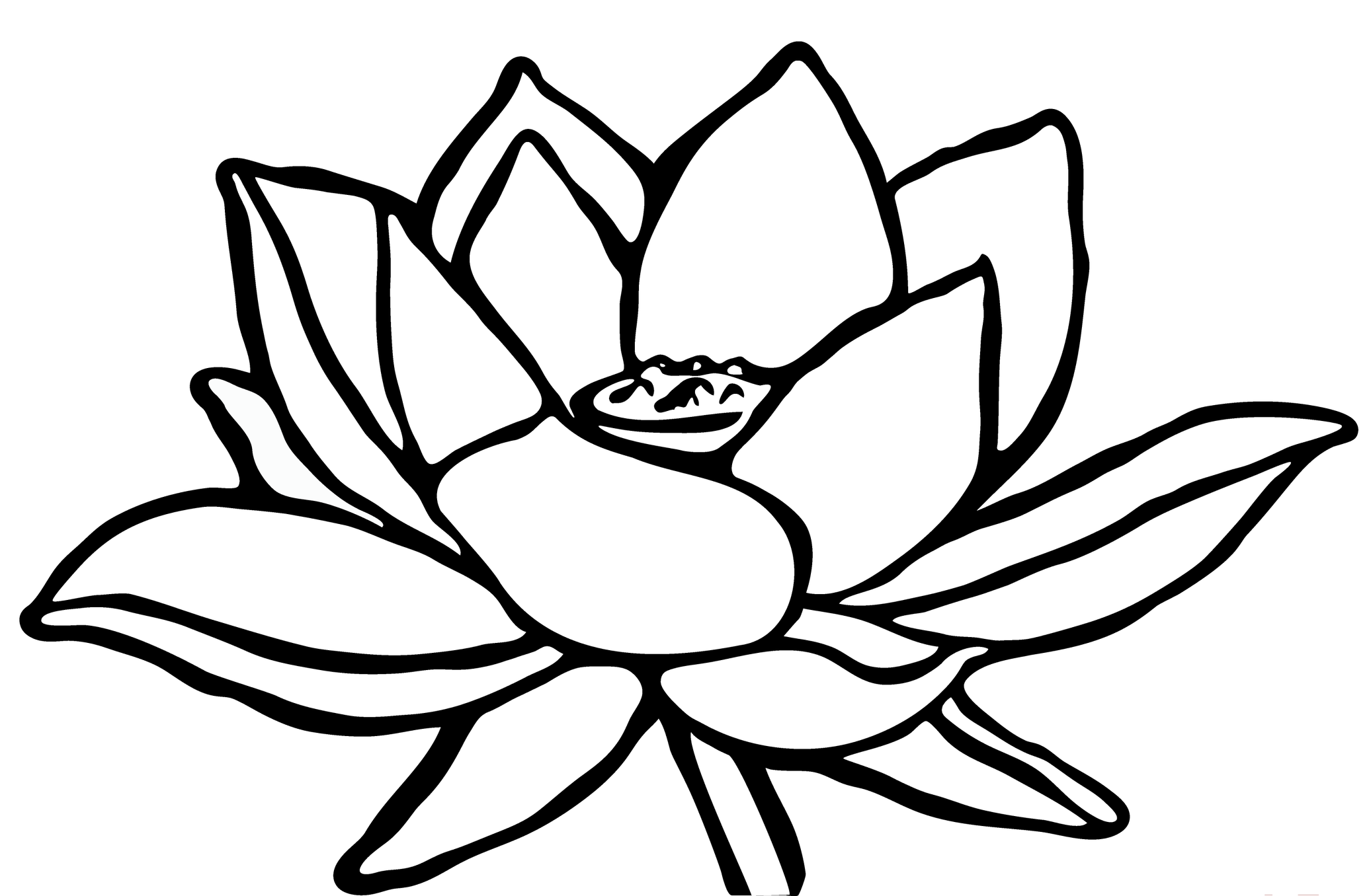 Black and white outline drawing of a blooming lotus flower with petals and leaves.