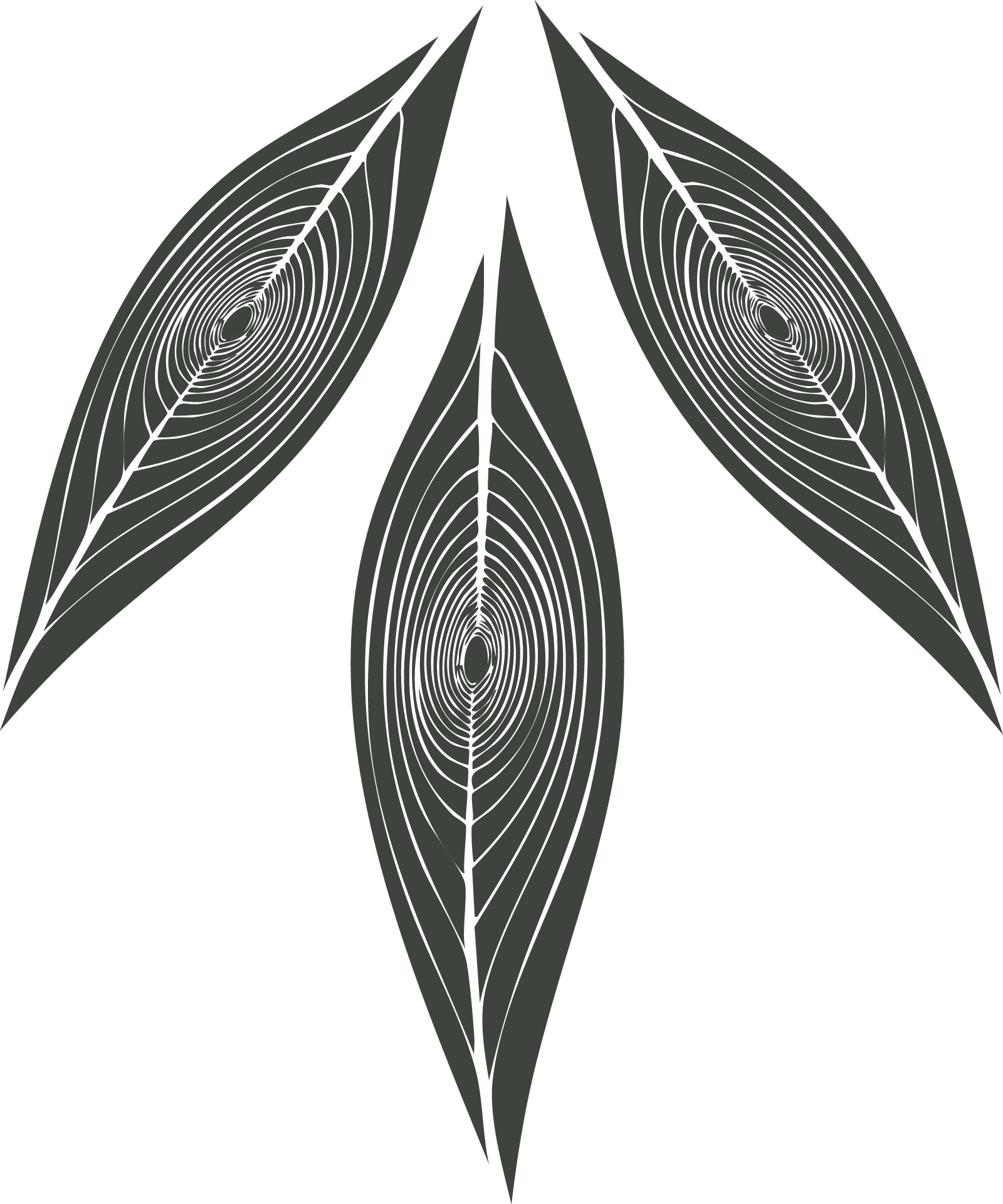 Four overlapping dark green leaves with visible veins against a black background.