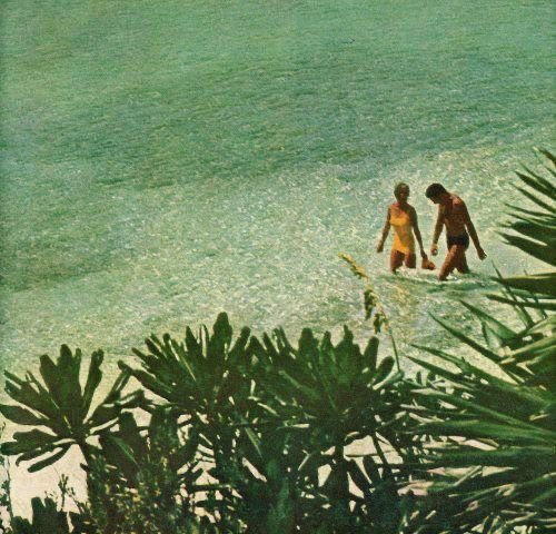 Two children playing in the shallow water at the beach, surrounded by green tropical plants.