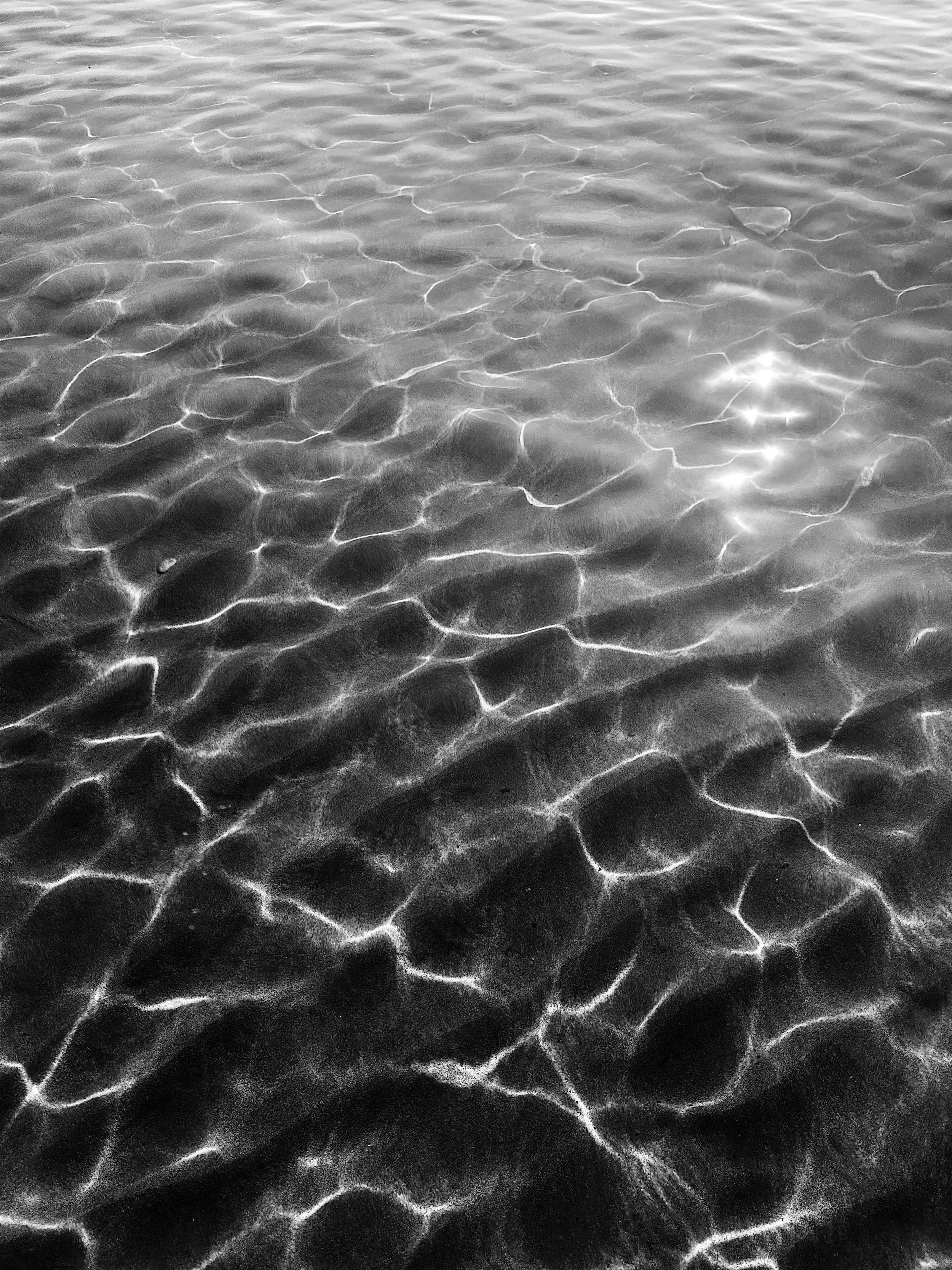 387FEF24-3F67-460F-8DBC-6961D7E77844.jpeg