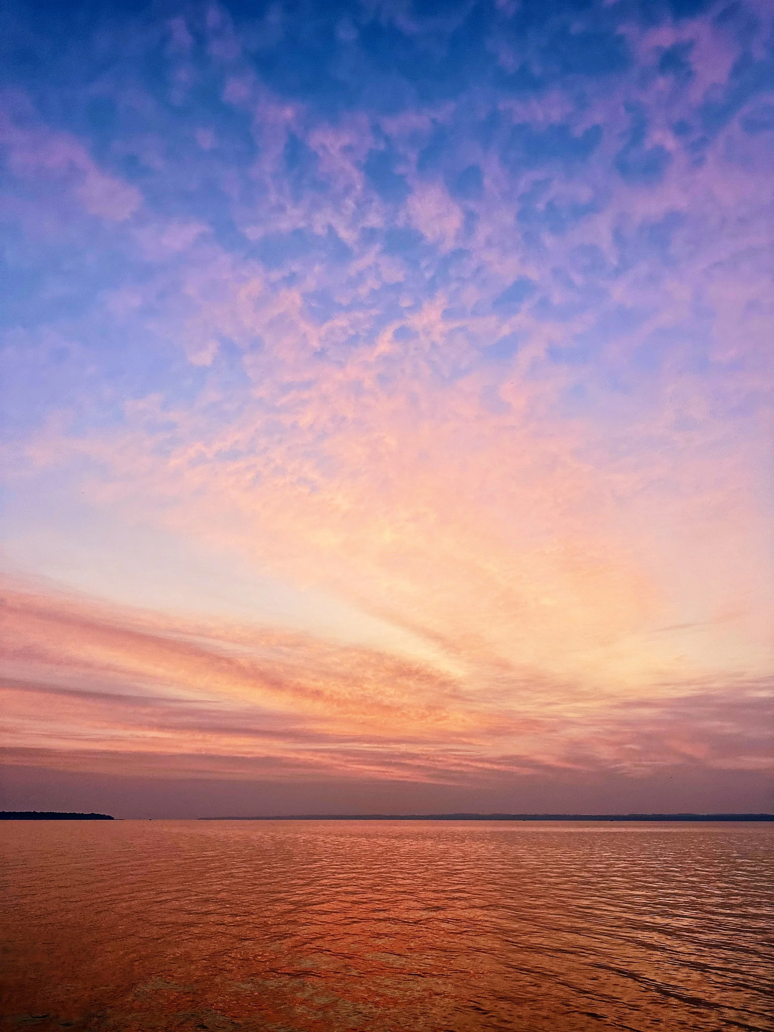 12F64537-9EA6-43FA-8242-F55C2005C53D.jpeg