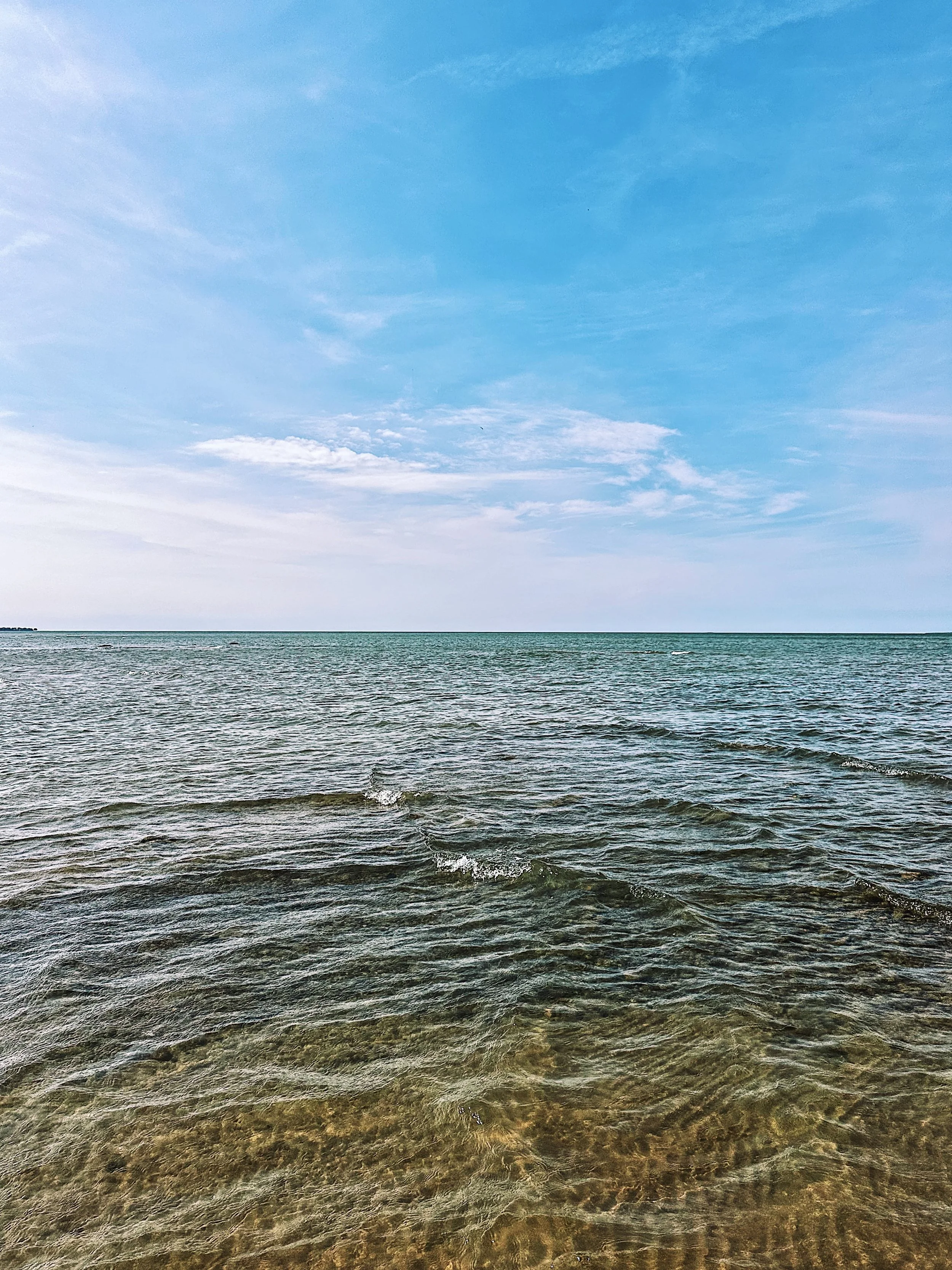 C5CF942F-EF3A-45D1-8B8F-594137D02081.jpeg