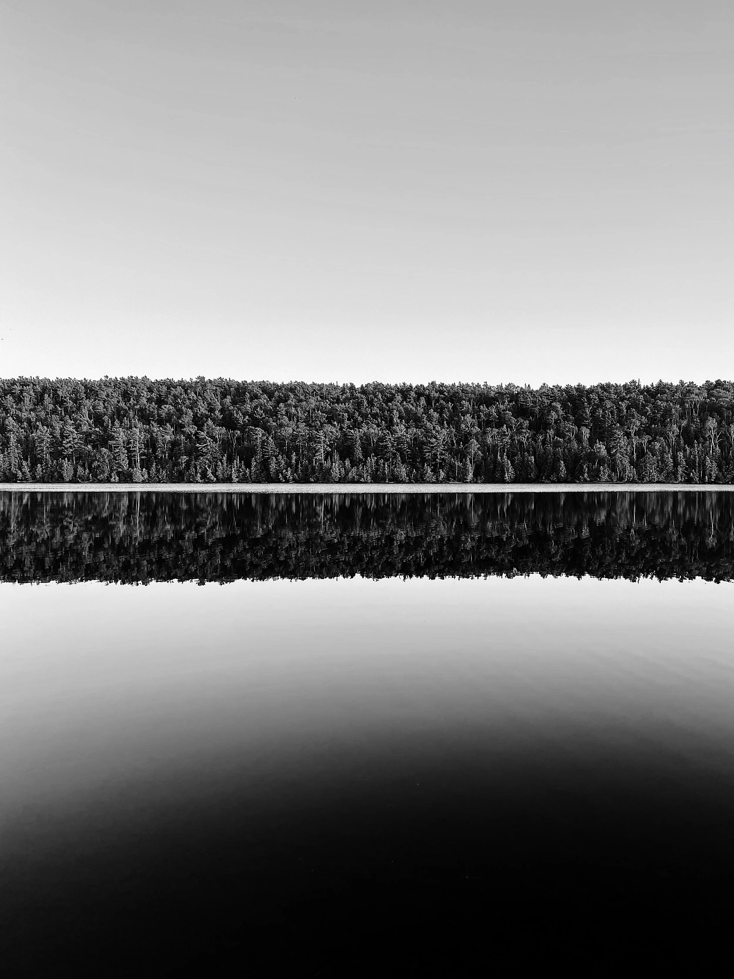 1A1396A2-272F-4E6B-B538-3181B66A1D53.jpeg