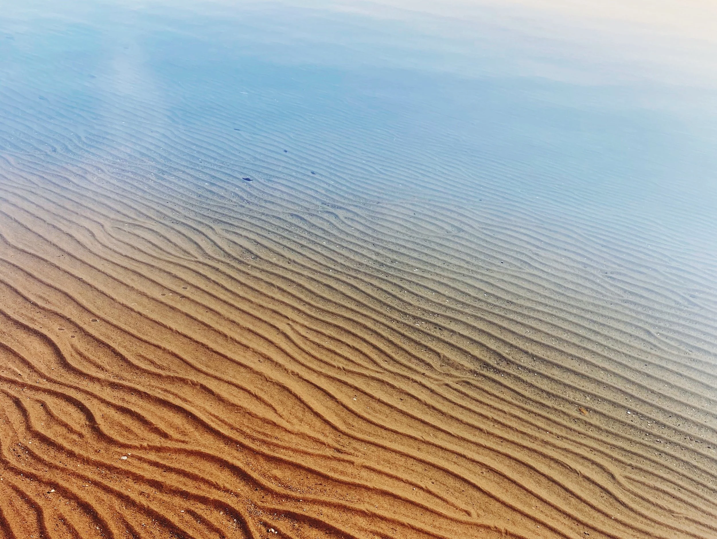 1F0BC30A-2D9E-4CA6-8254-B3F65E04CB4F.jpg