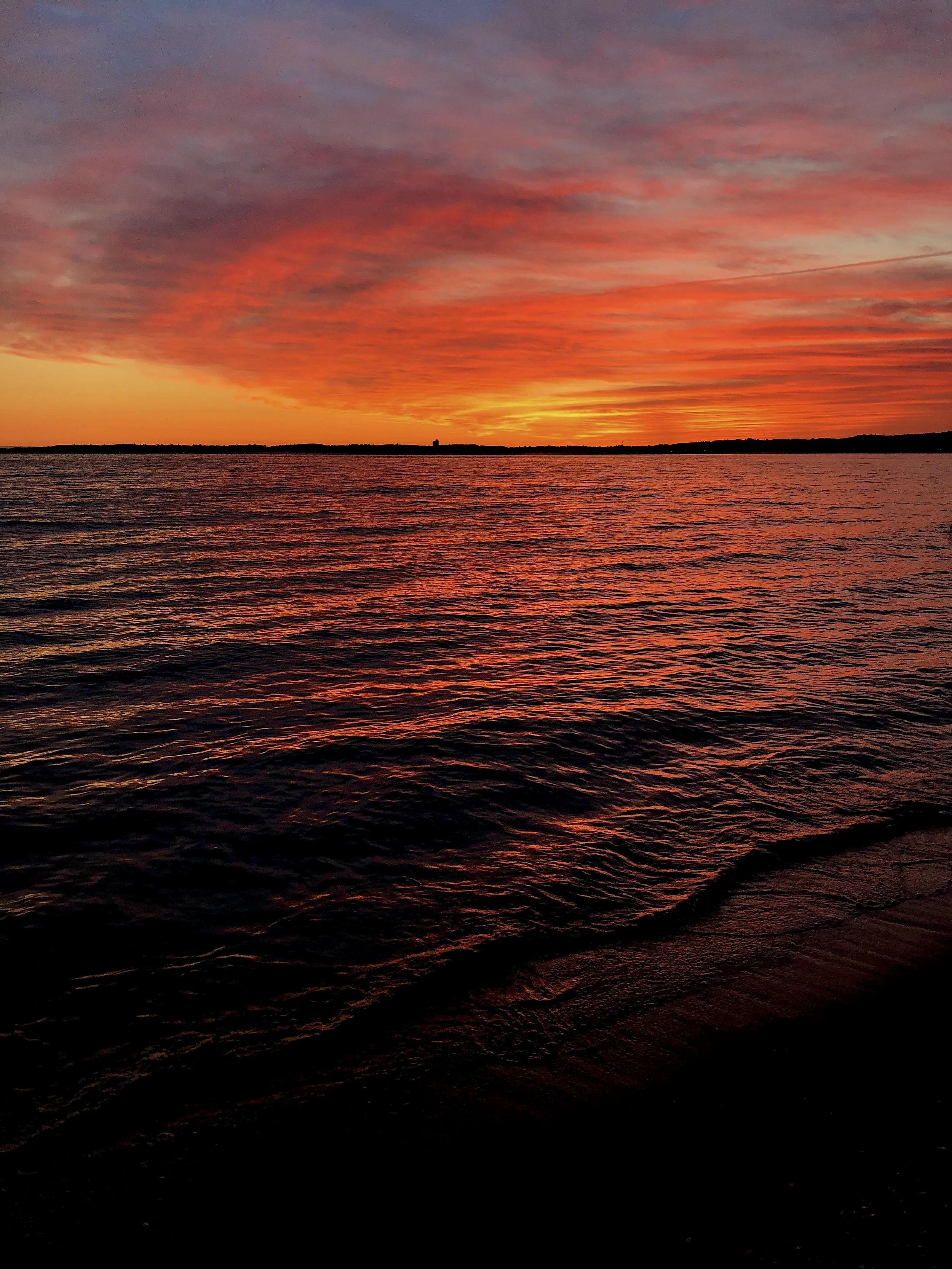 28D221E1-B476-405F-B7B8-675B8FC0A264.jpeg