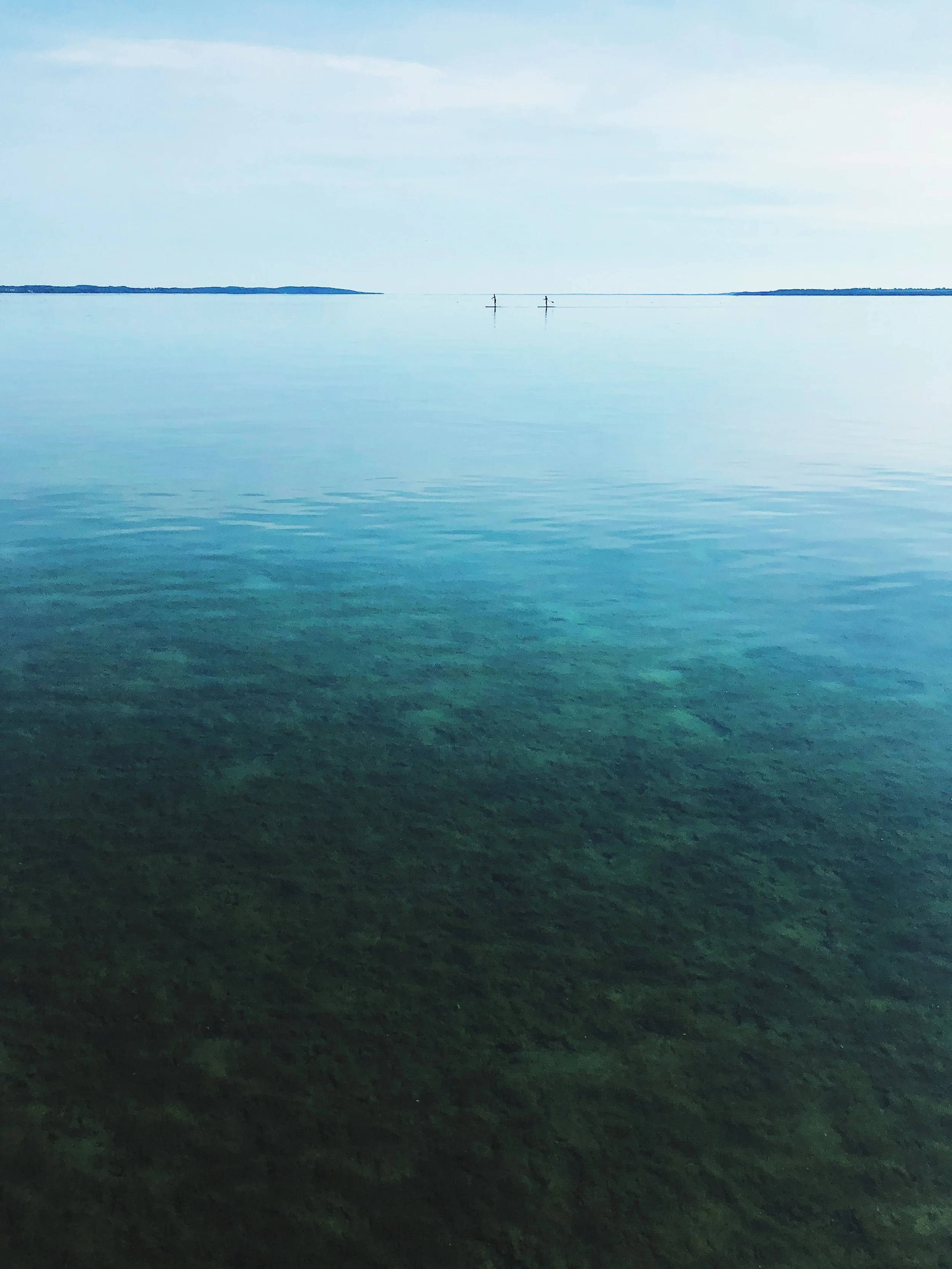 18199B0E-8221-4B35-912B-1C17E1F96F4F.jpeg