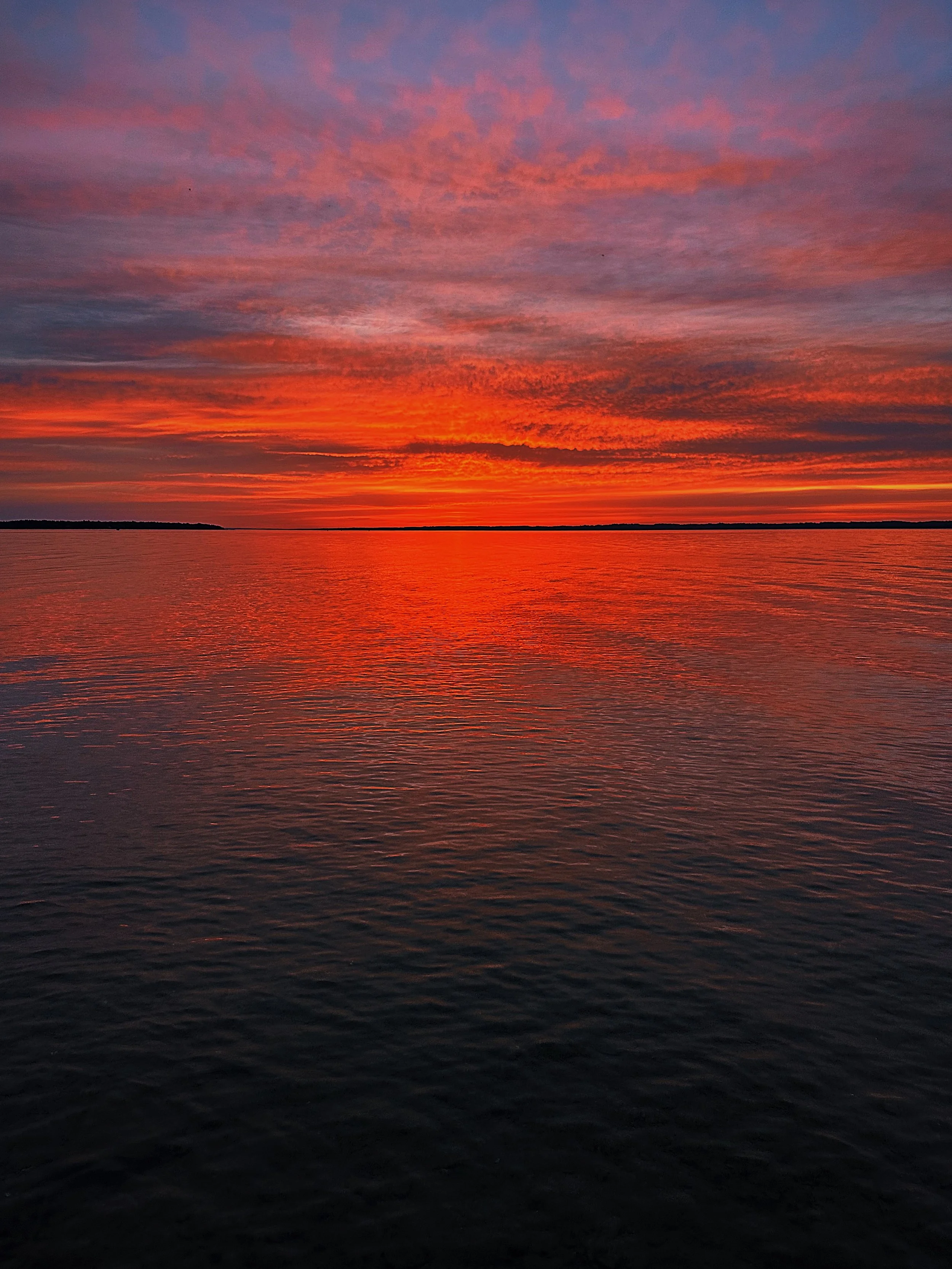 0D558D12-6811-4797-B340-CF32C01E3E68.jpeg