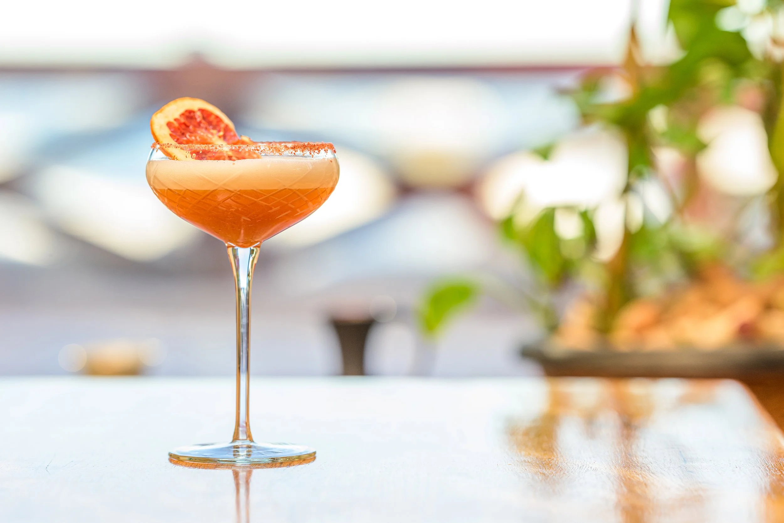 A cocktail in a coupe glass garnished with a blood orange slice, with a blurred background of plants and a light reflecting on a wooden surface.