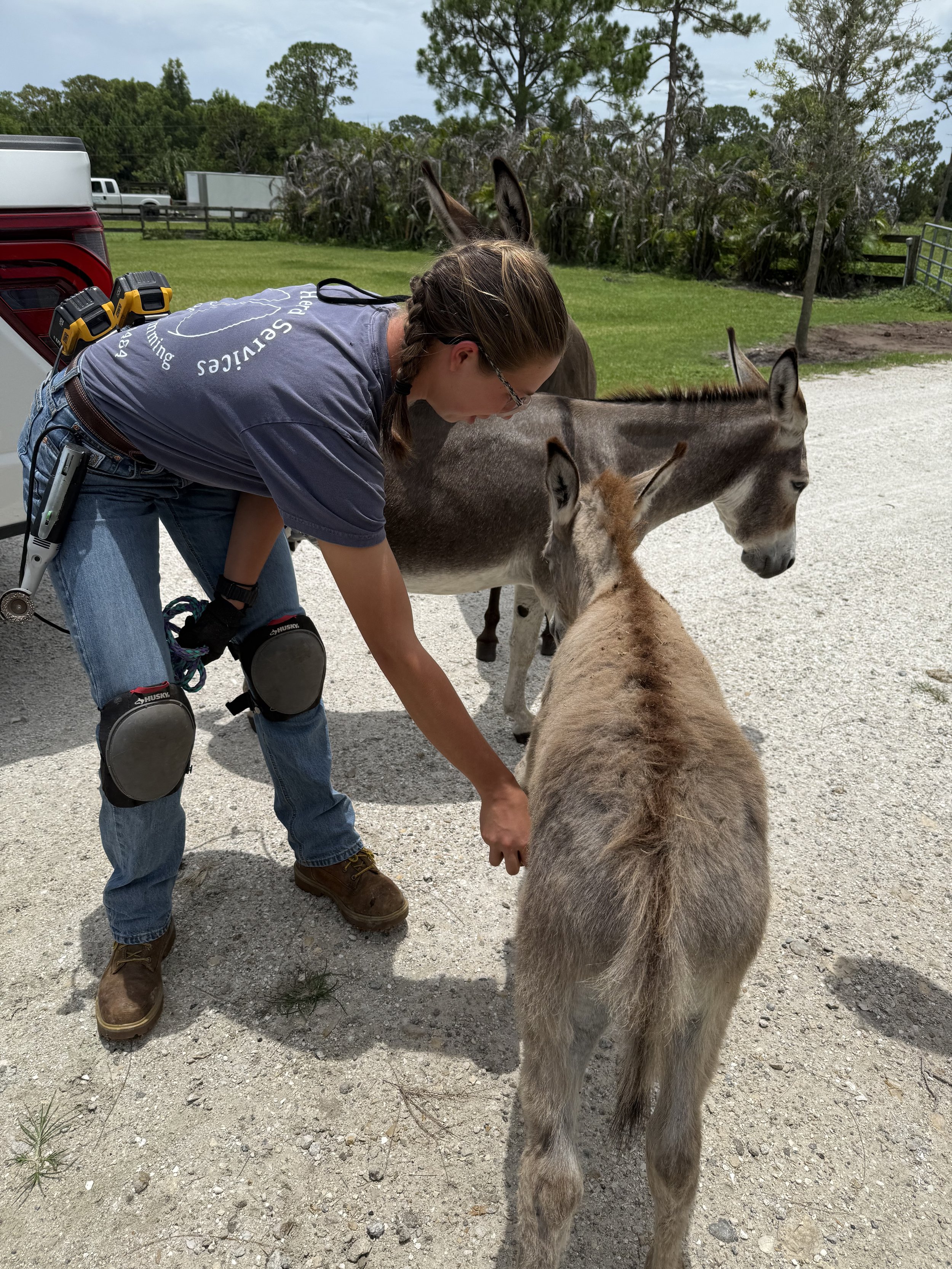 A woman with brown hair, glasses, and work gear is petting a small donkey. Two larger donkeys are nearby in a grassy outdoor area, with trees, a fence, and a truck in the background.