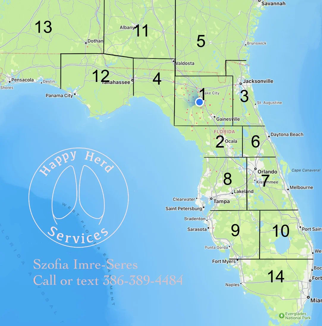 Map of Florida showing numbered regions, including major cities like Miami, Orlando, Tampa, Jacksonville, and Pensacola. Logo of Happy Herd Services with contact information, and Everglades National Park at the bottom right.