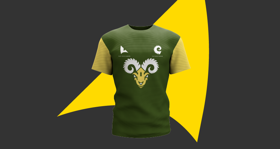 CHC-RAM-AG-03 (1).webp