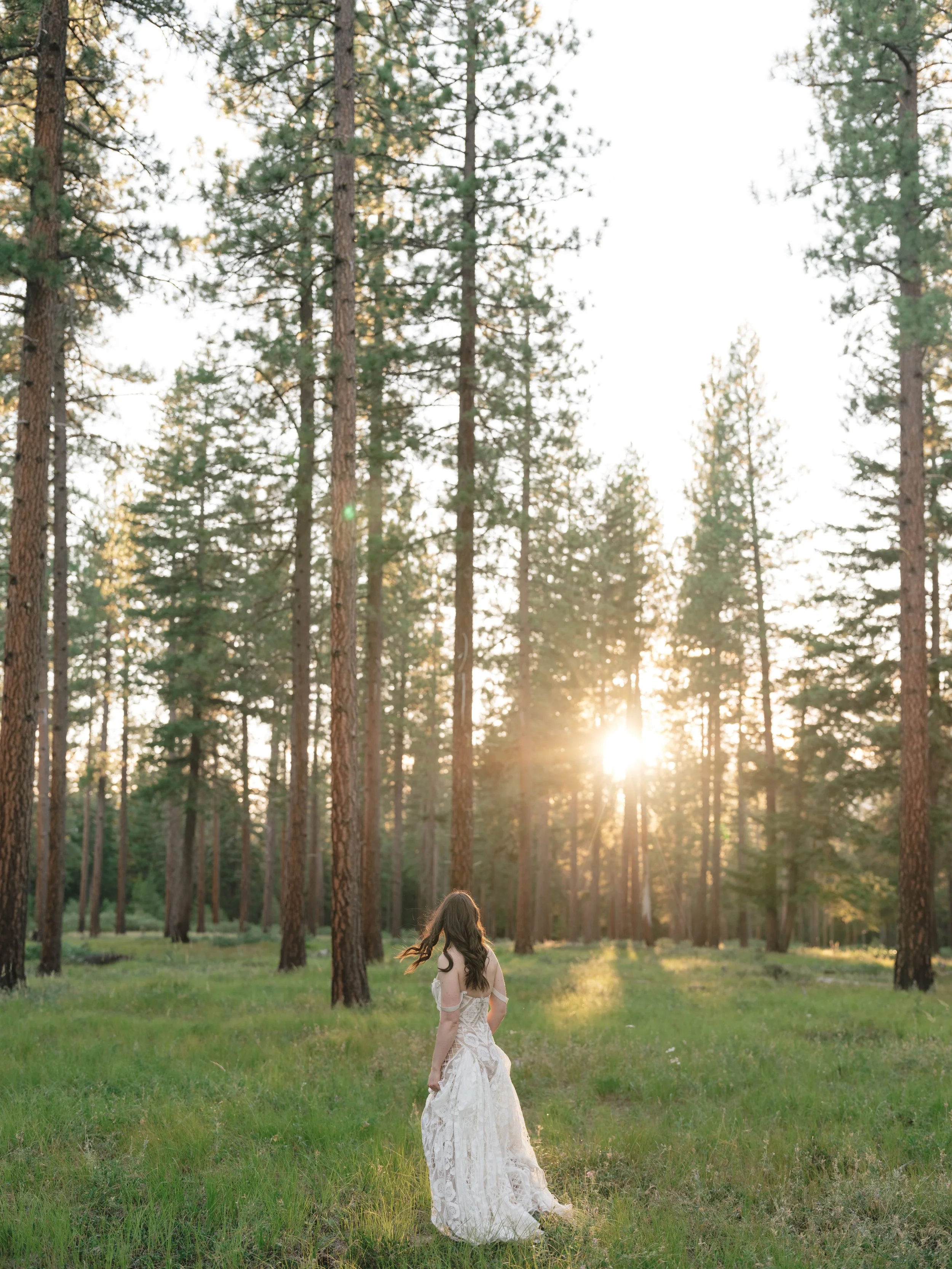 MatthewTaylor_WeddingHighlights_0091.jpg