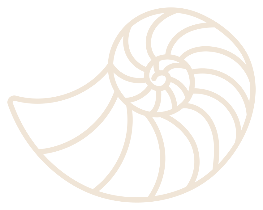 Icon of Nautilus shell