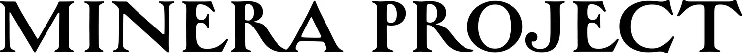 MINERA PROJECT