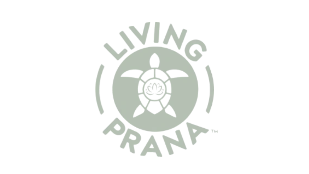 A logo with a cartoon bear holding a flag that says 'living prana' in pastel colors.