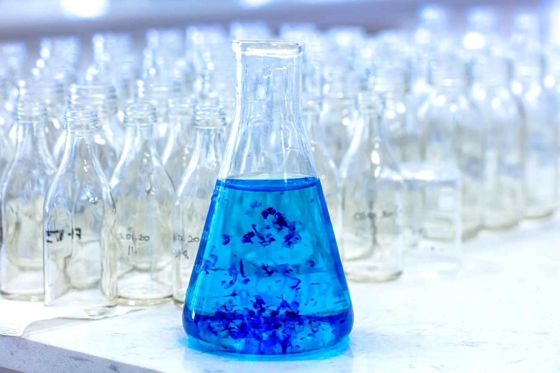 Exploring the Power of Methylene Blue
