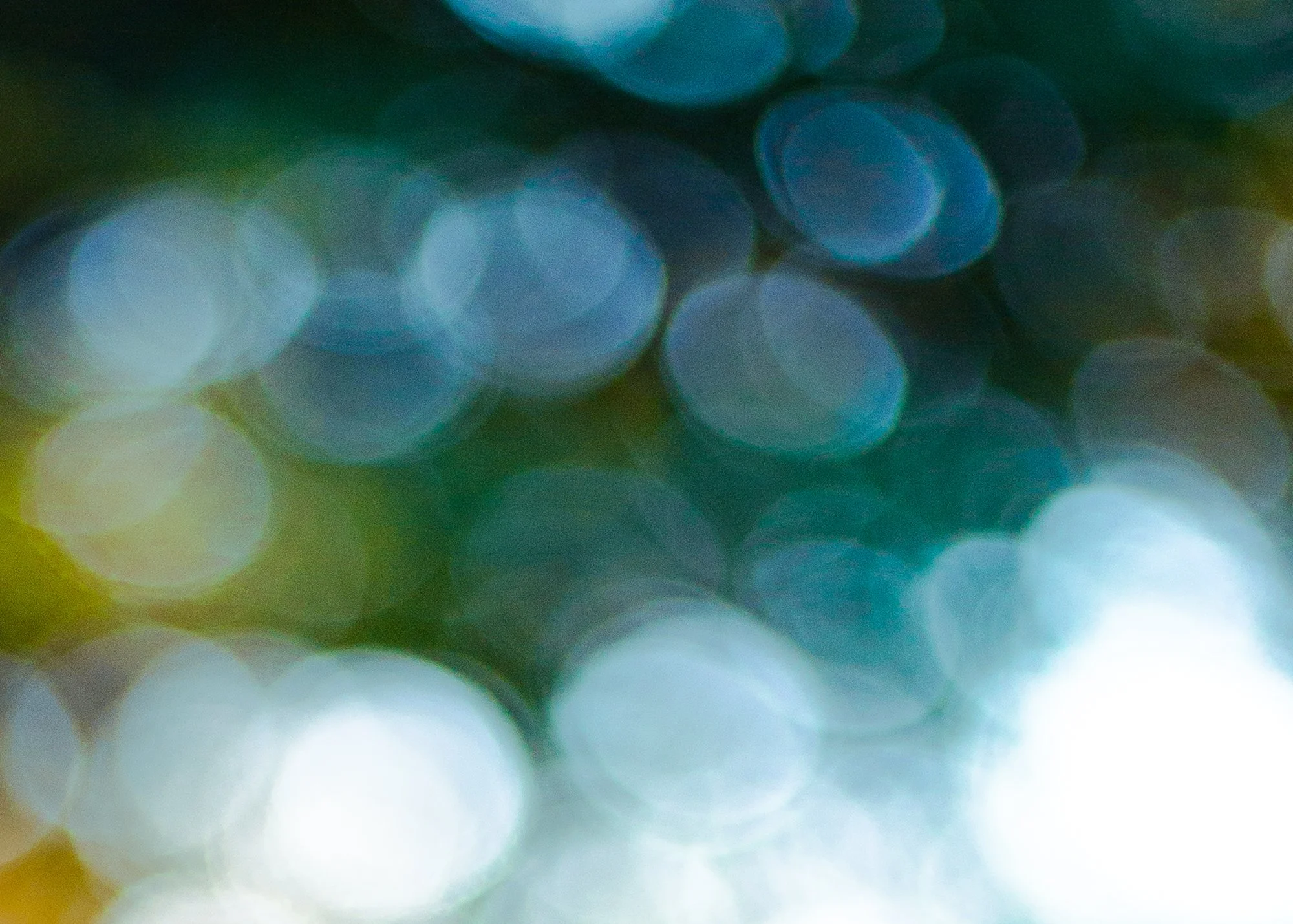 Abstract bokeh lights in shades of blue, green, and white.