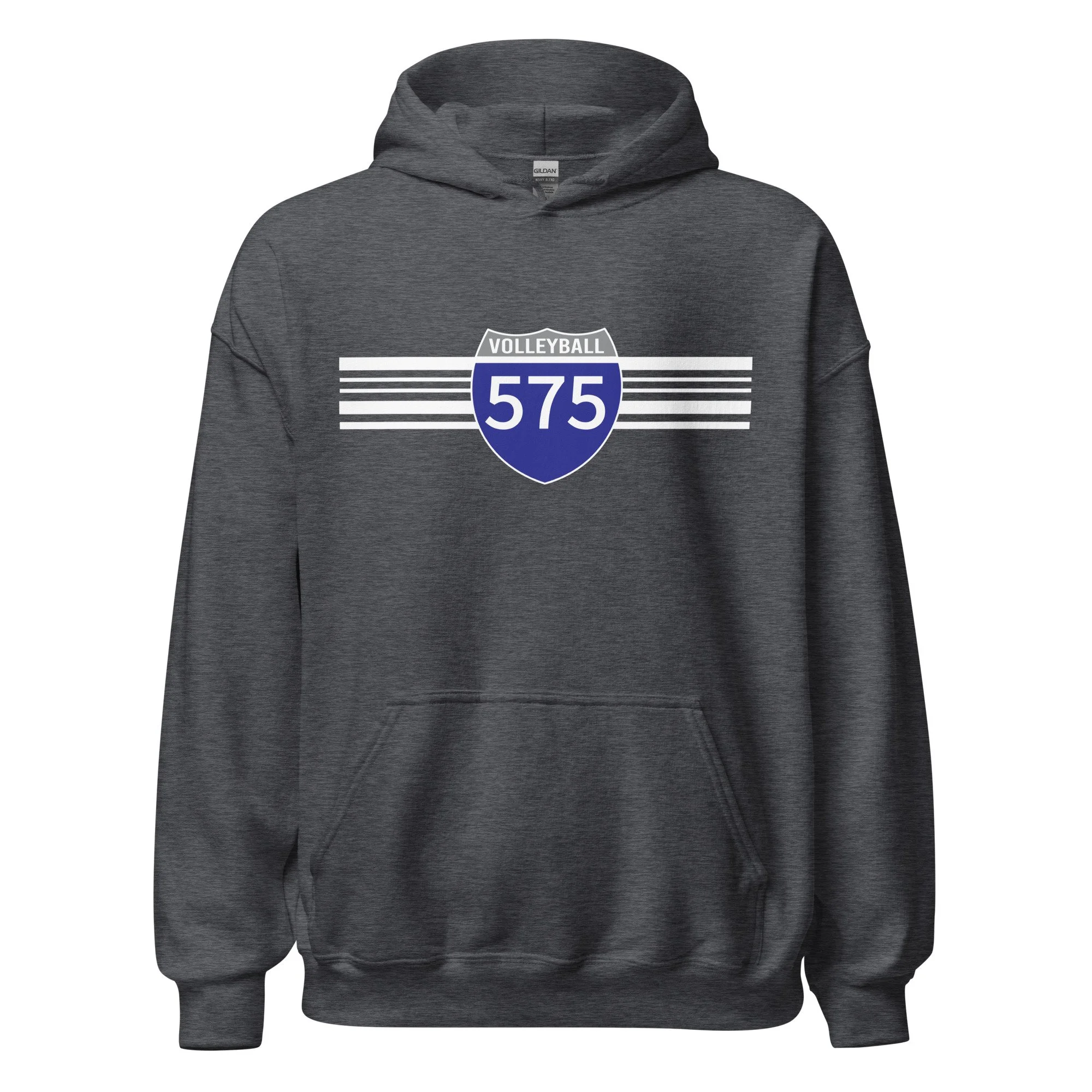 Racing Stripes Hoodie