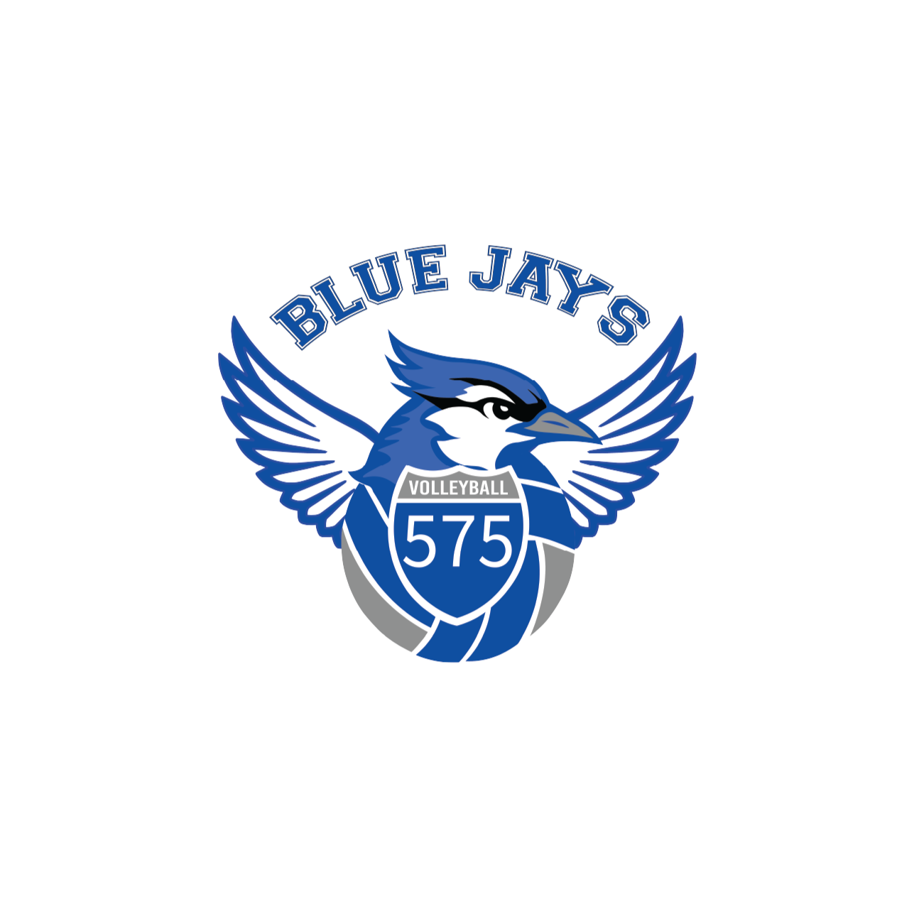 575 Blue Jays Spirit Wear Store