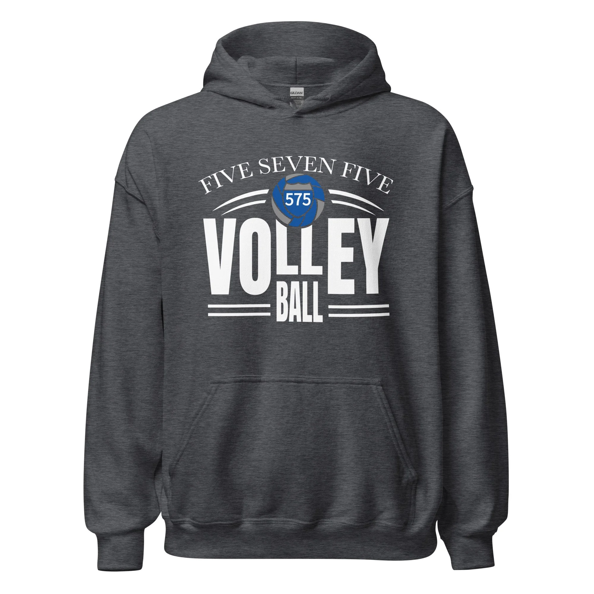 unisex-heavy-blend-hoodie-dark-heather-front-693f2f11e289a.jpg