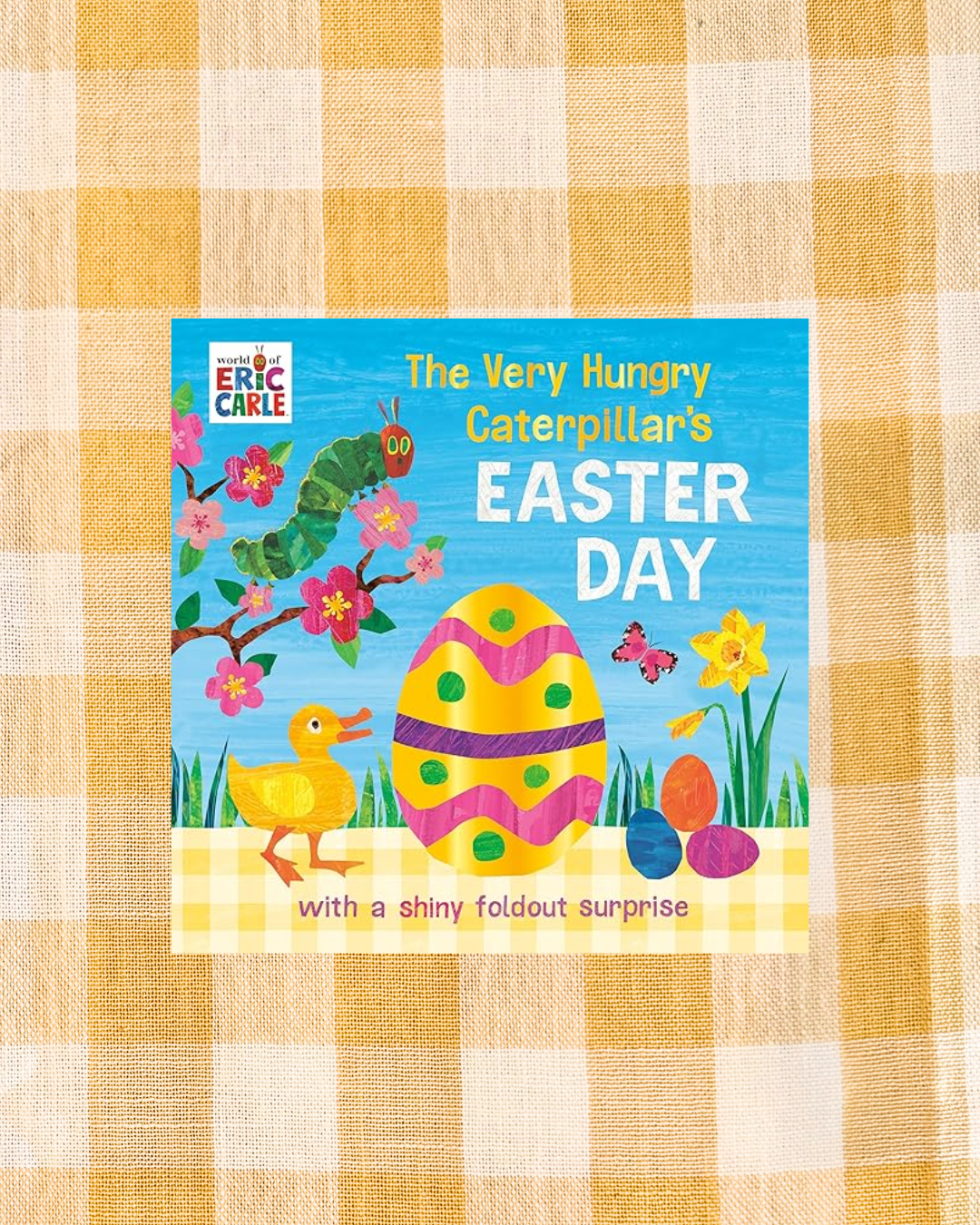 background website photos (22).png