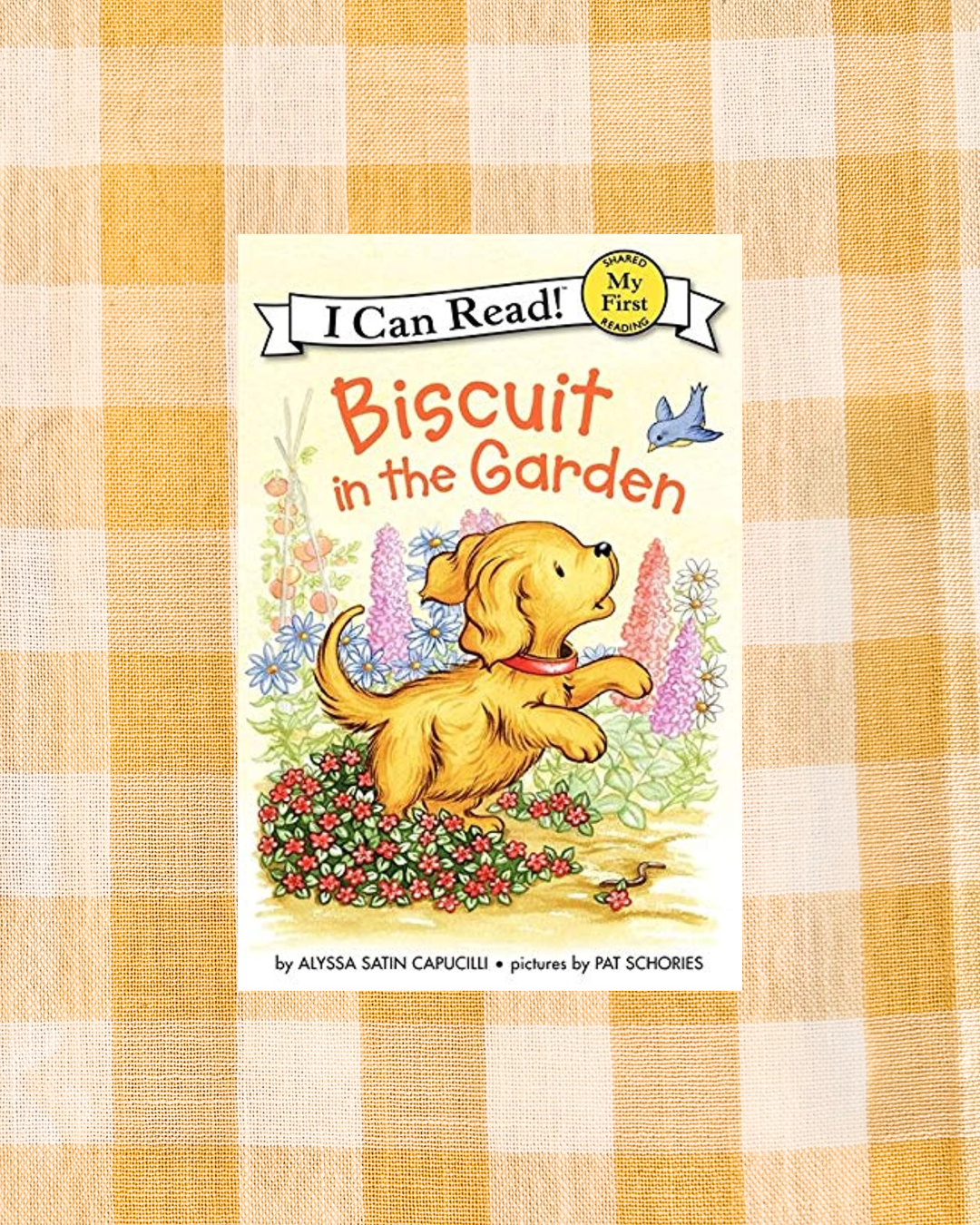 background website photos (88).png