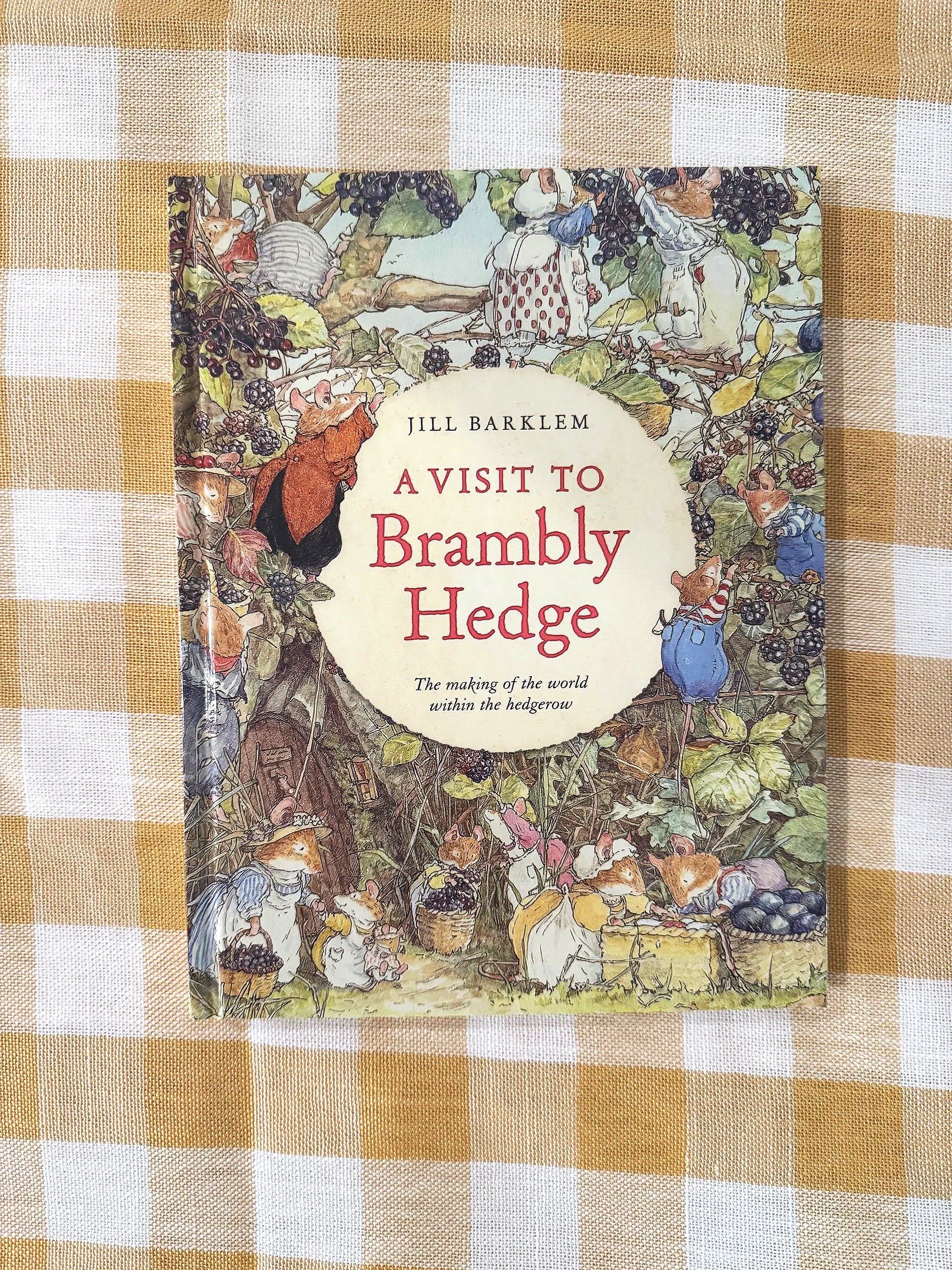 A Visit to Brambly Hedge by Jill Barklem