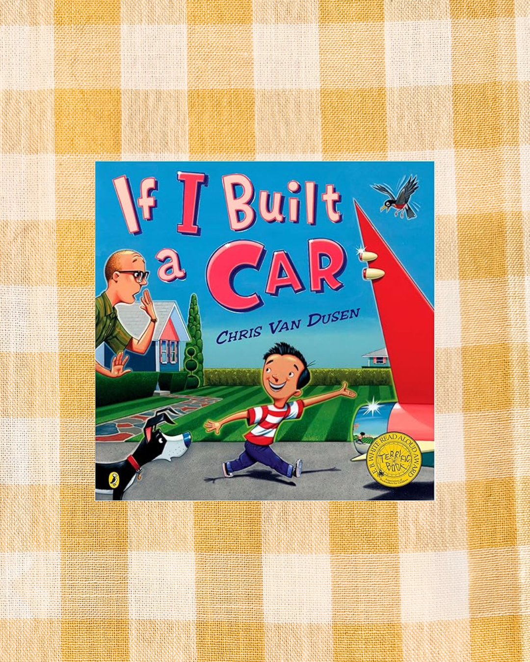 background website photos (57).png