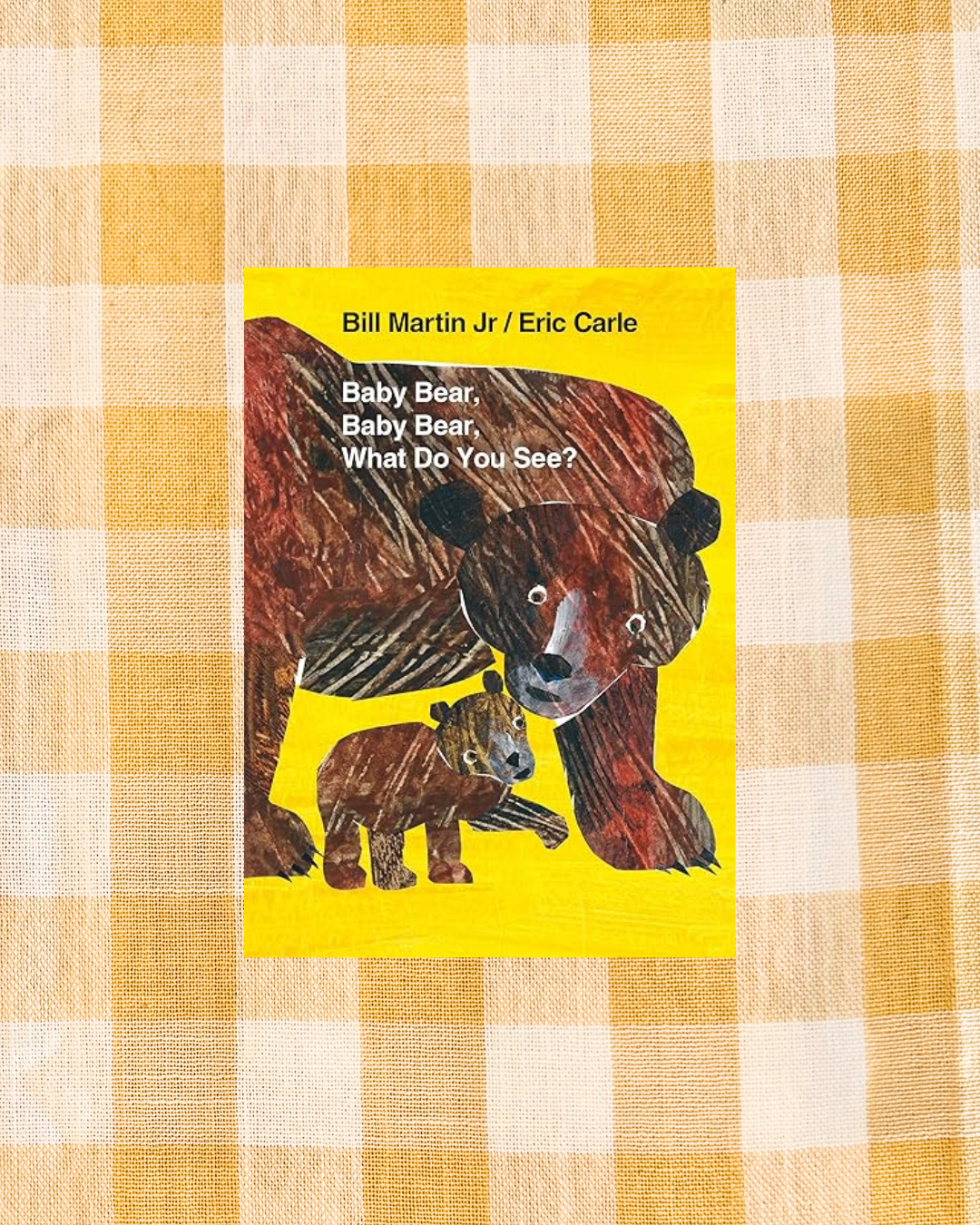 background website photos (69).png