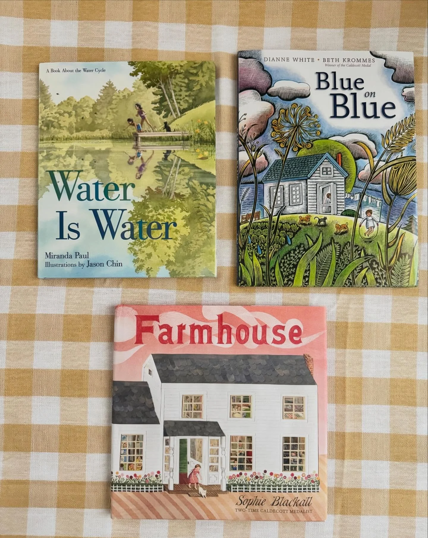 A few highlights from our collection that you will find at our Pop-up tomorrow at the Front Porch Cafe-Fuquay-Varina! 

#vendorfair #sipandshop 

Can&rsquo;t make it? You can still support us by shopping online at Shop Bright Lantern (link in bio) or