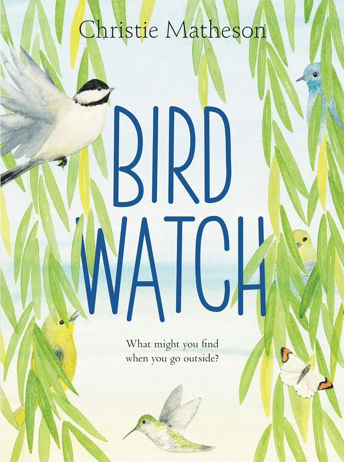 Read, Play, and Discover Guide: Bird Watch by Christie Matheson