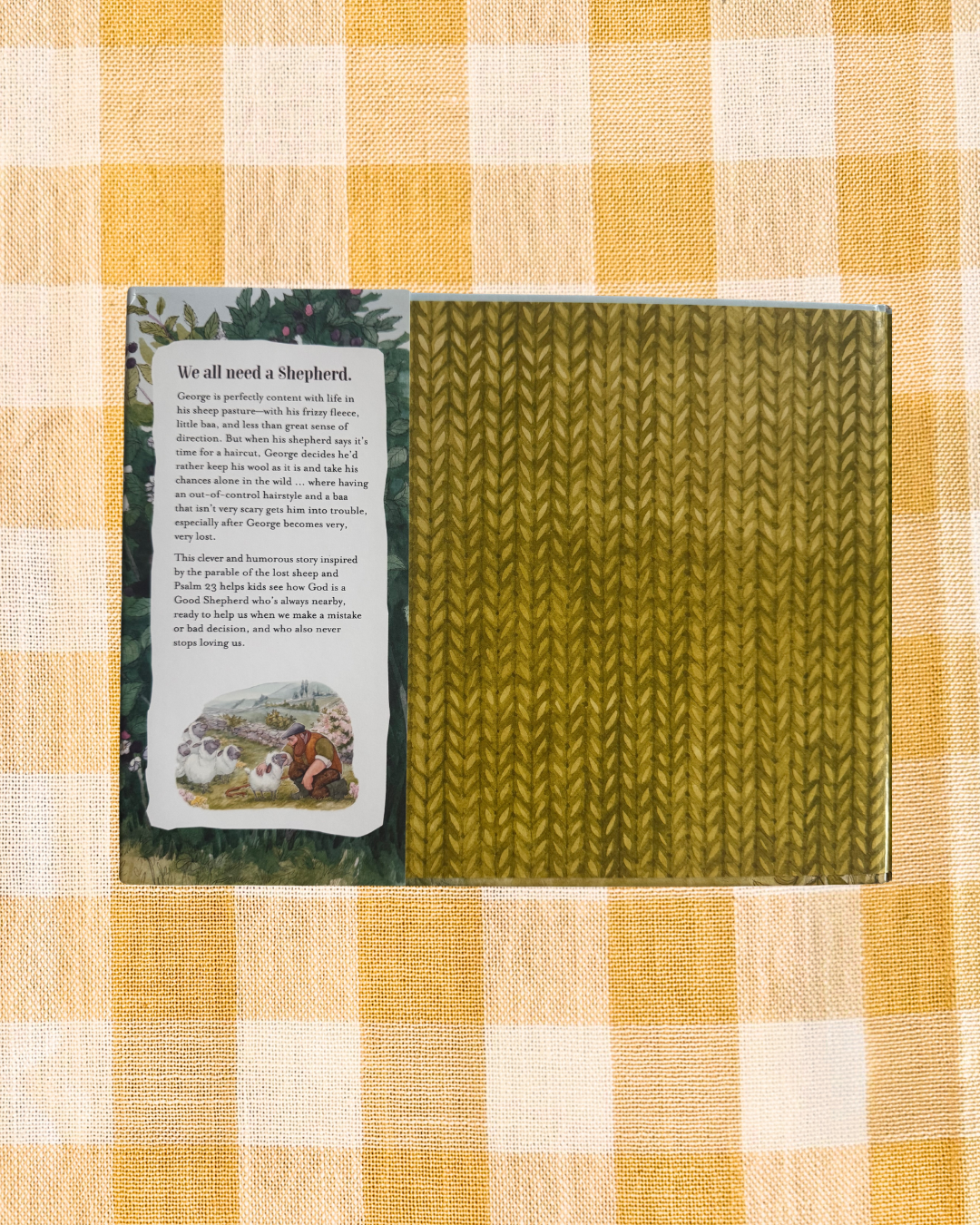 background website photos - 2026-06-18T102440.581.png