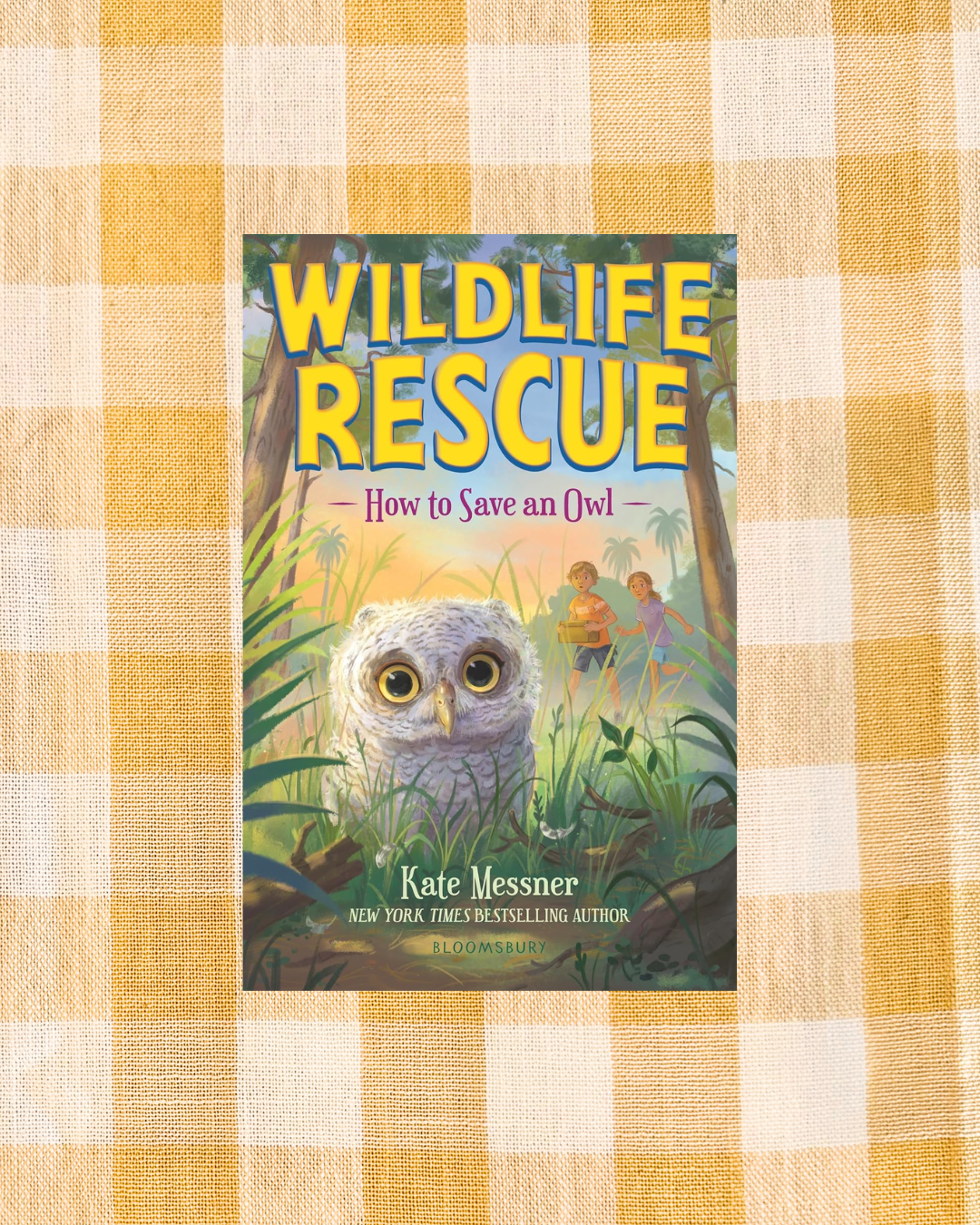 How to Save an Owl (Wildlife Rescue Series)